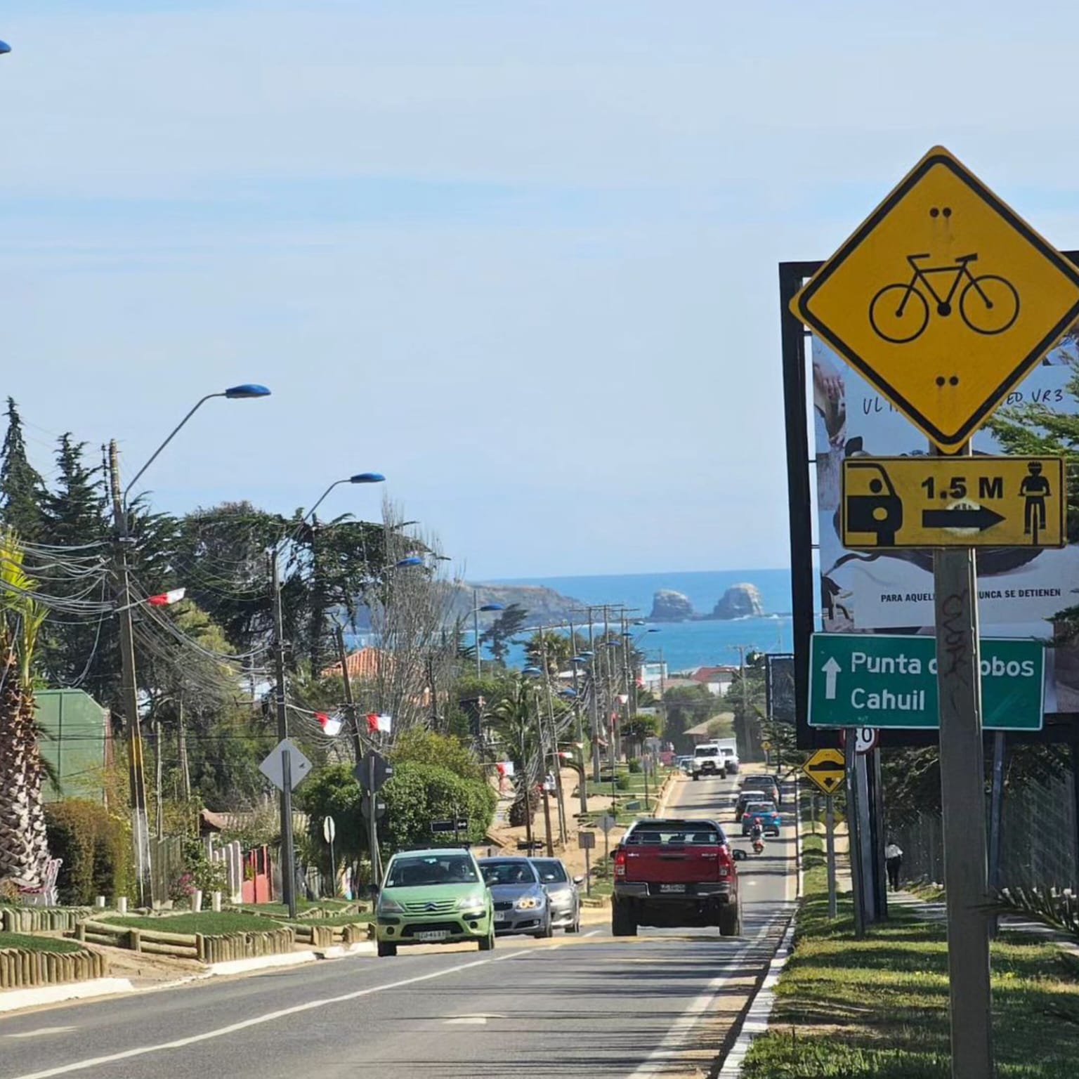 Parcelas en venta en Alto Pichilemu 10