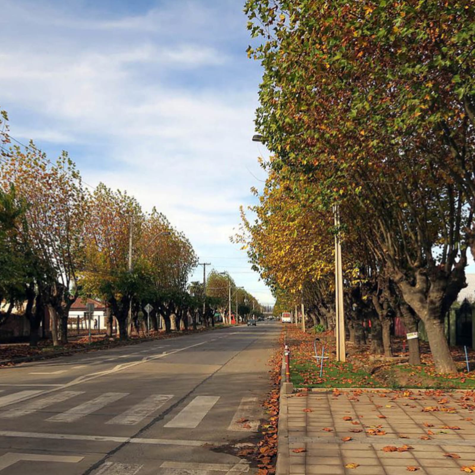 Parcelas en venta en Vive San Javier 10