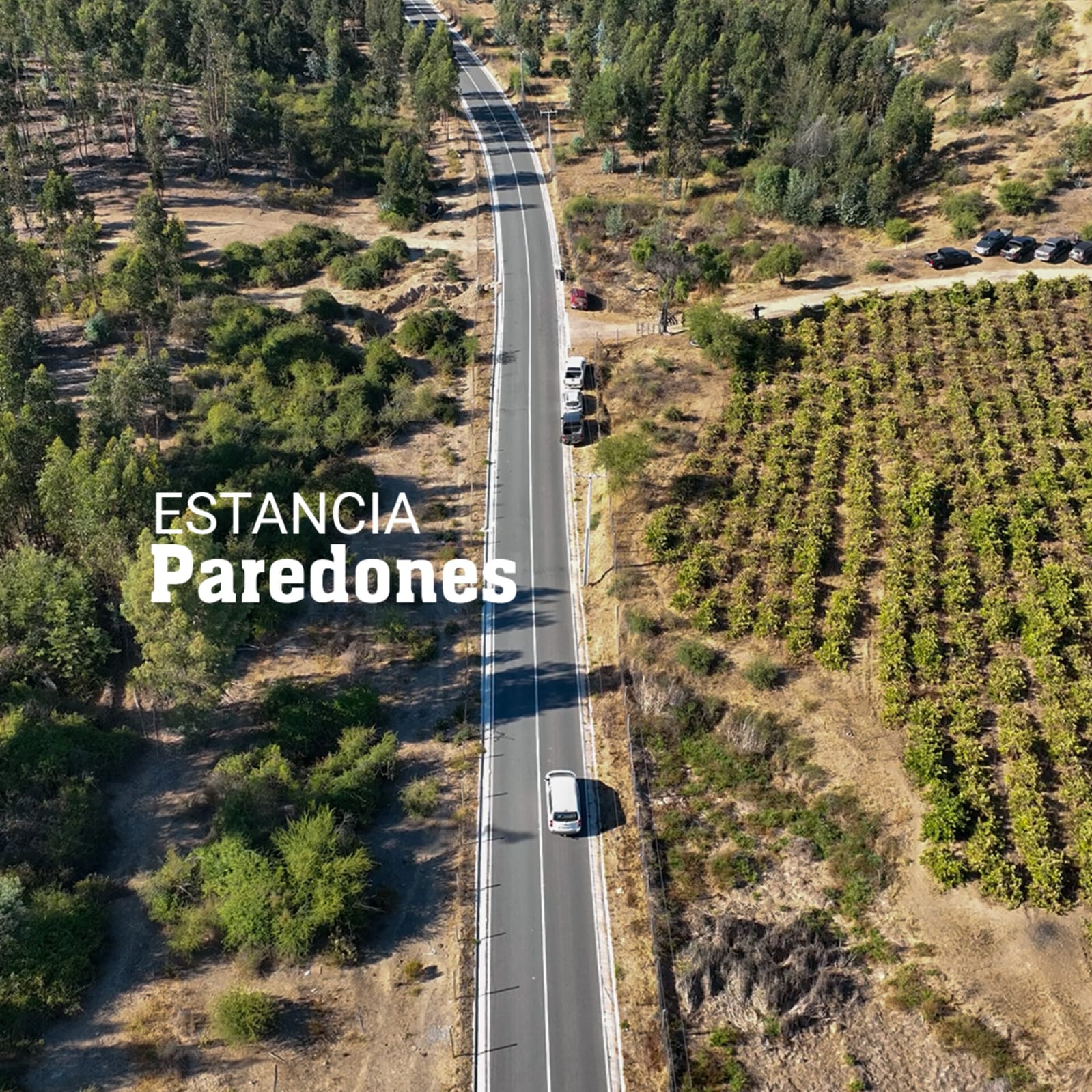 Parcelas en venta en Estancia de Paredones 5