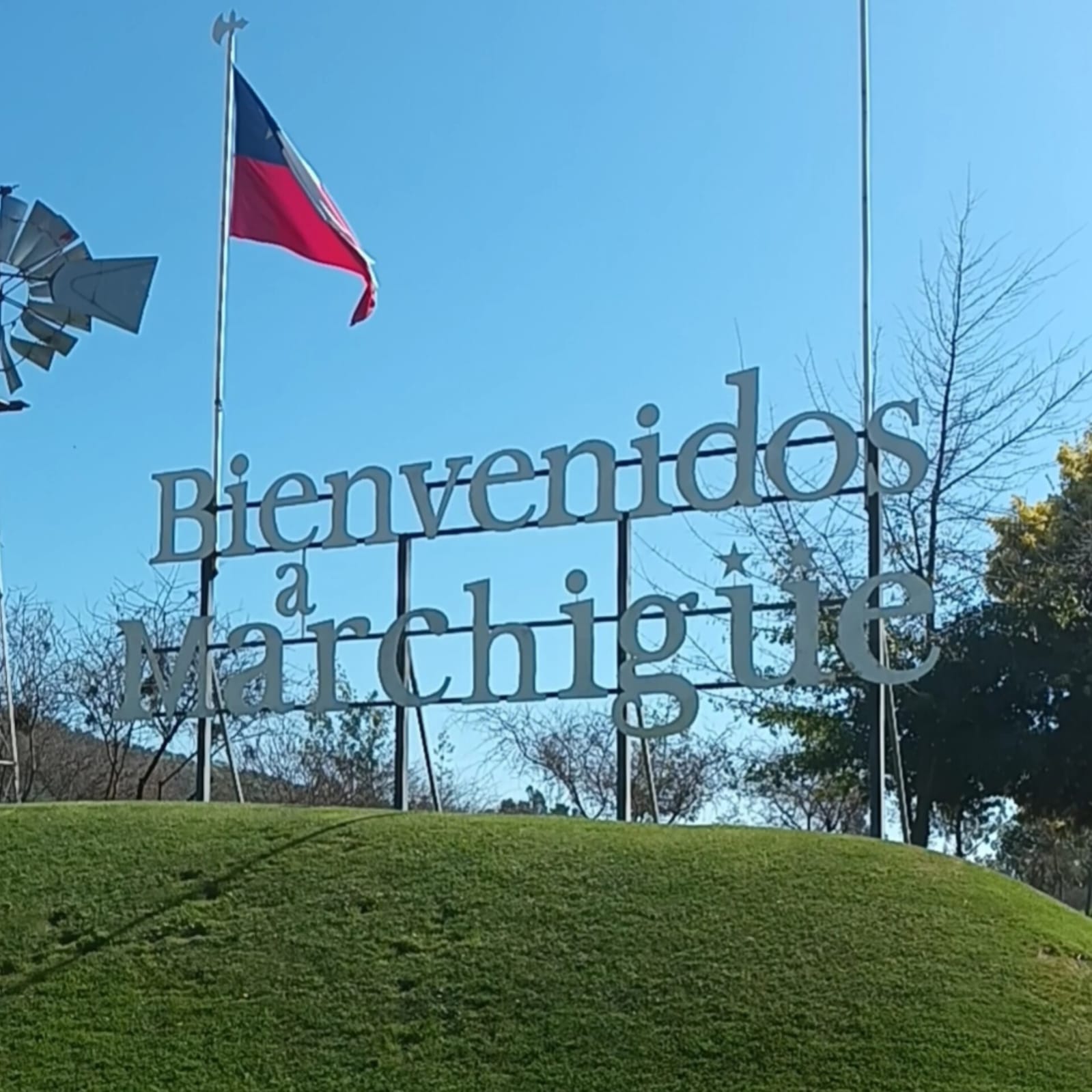 Parcelas en venta en Olivos de Marchigüe