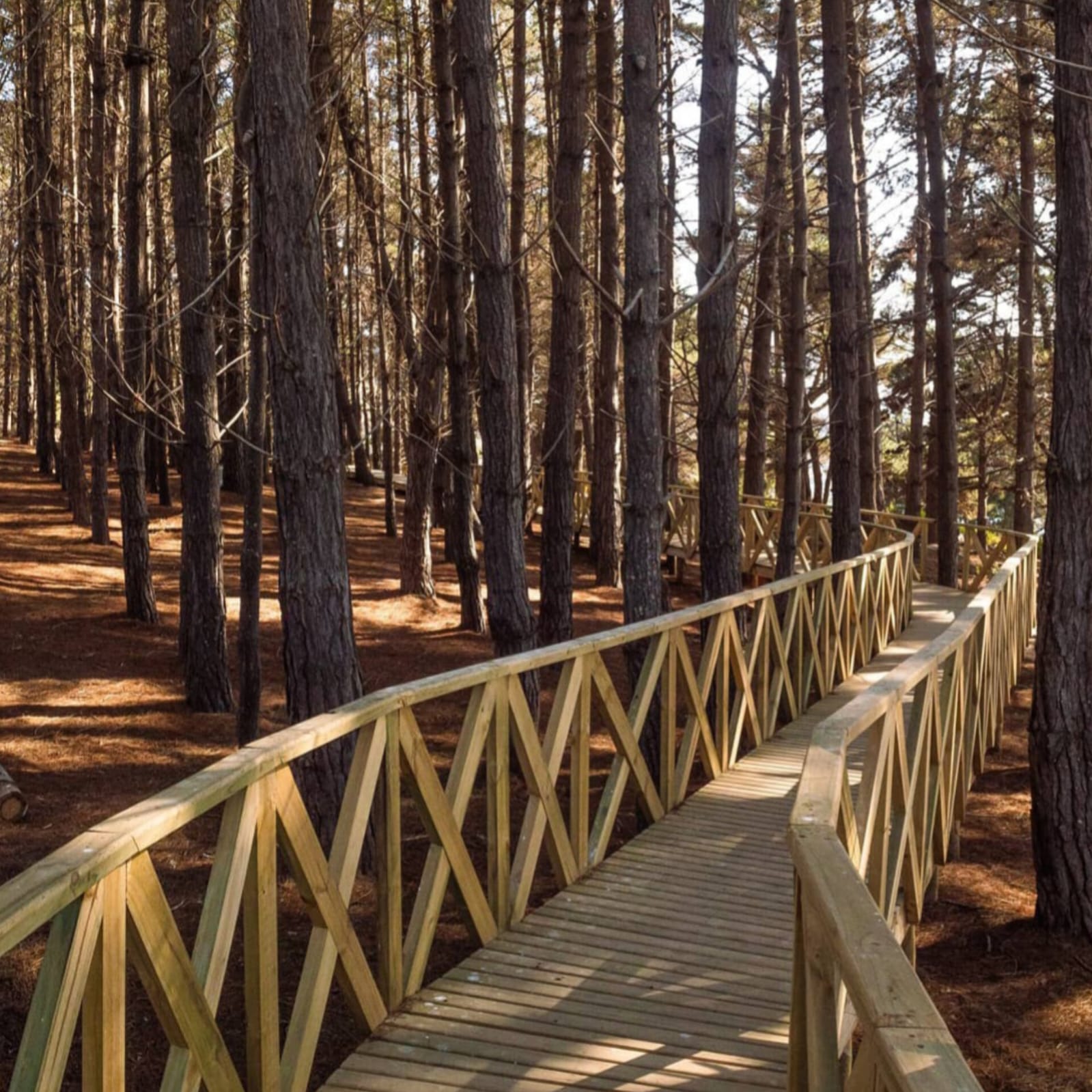 Parcelas en venta en Algarrobo