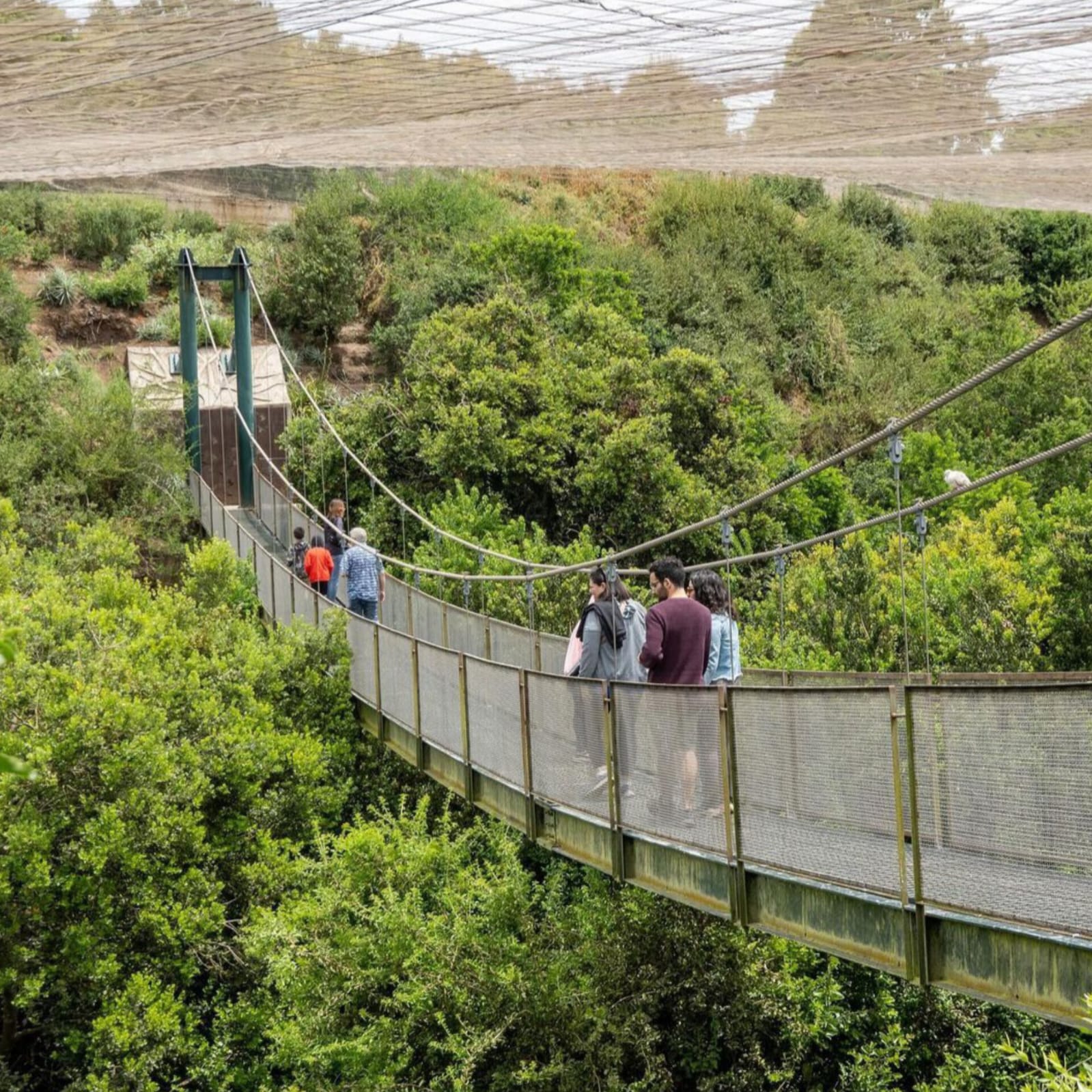 Parcelas en Venta en Santo Domingo 6