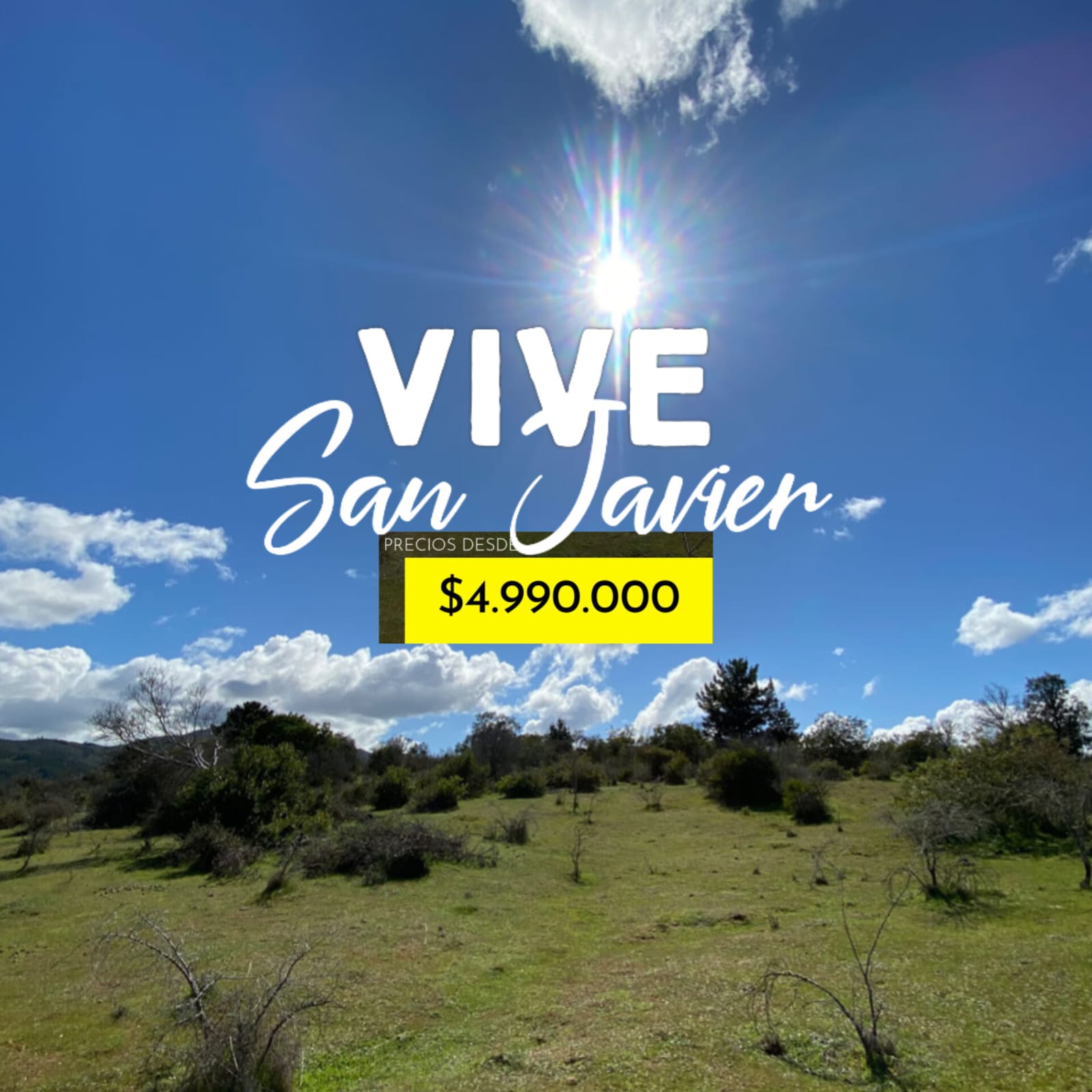 Parcelas en venta en Vive San Javier 4