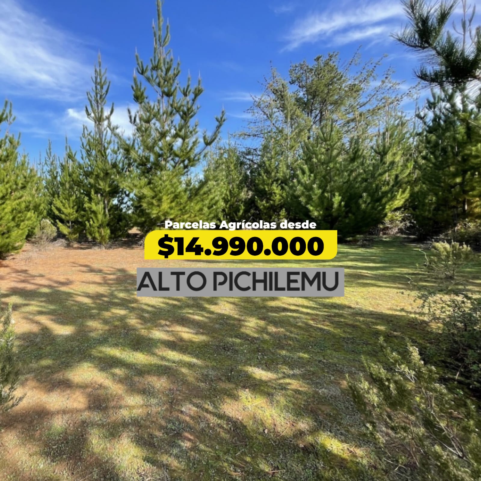 Parcelas en venta en Alto Pichilemu 2