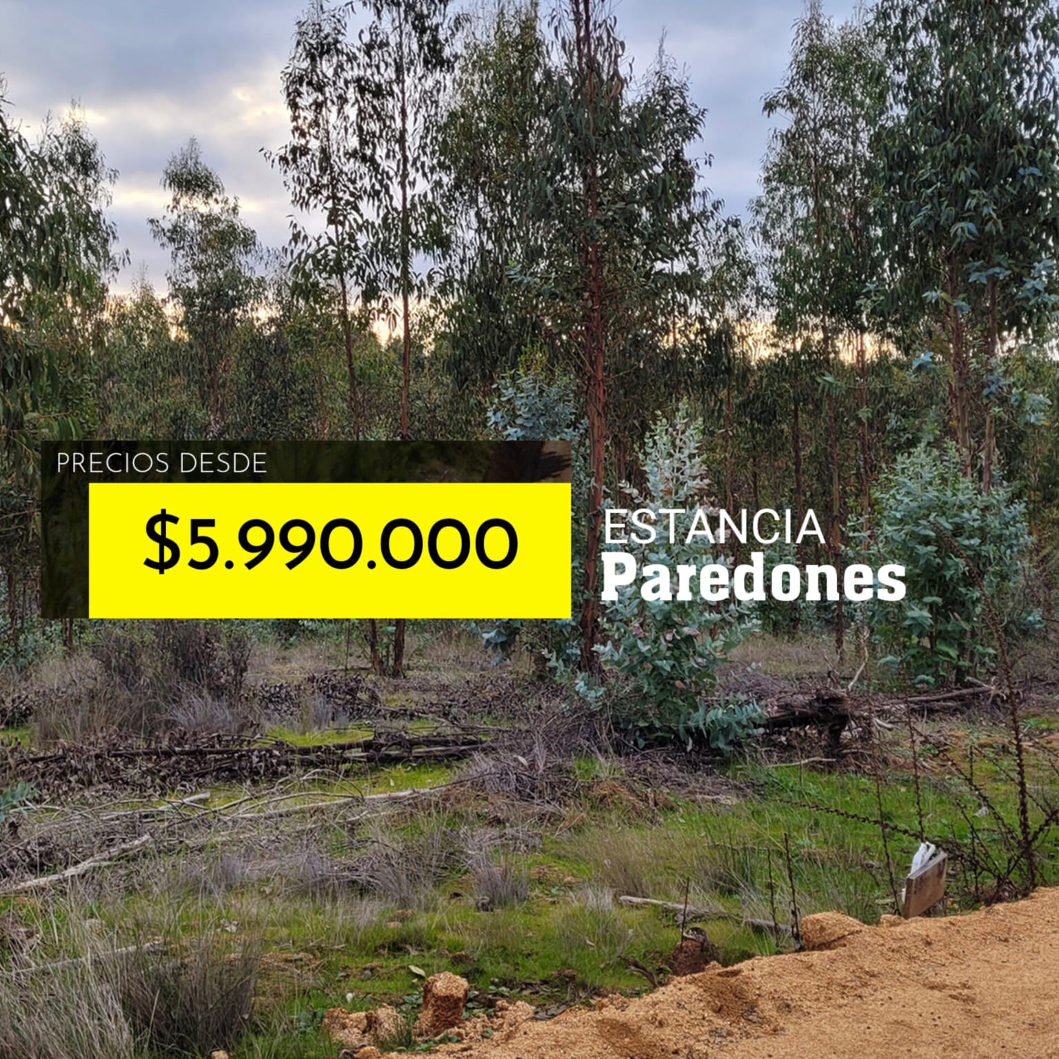 Parcelas en venta en Estancia de Paredones 1