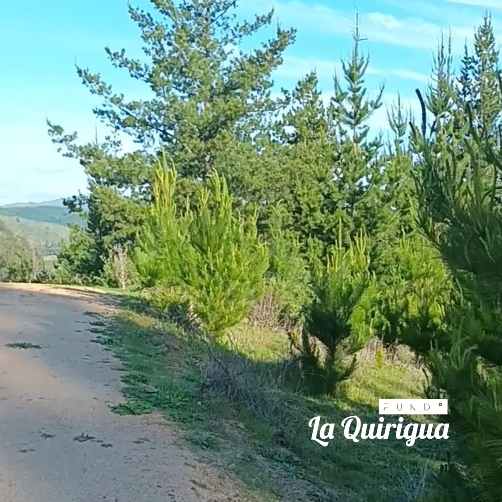 Parcelas en venta Fundo La Quirigua