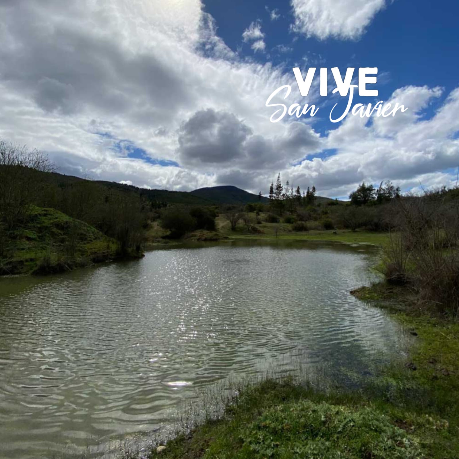 Parcelas en venta en Vive San Javier 5