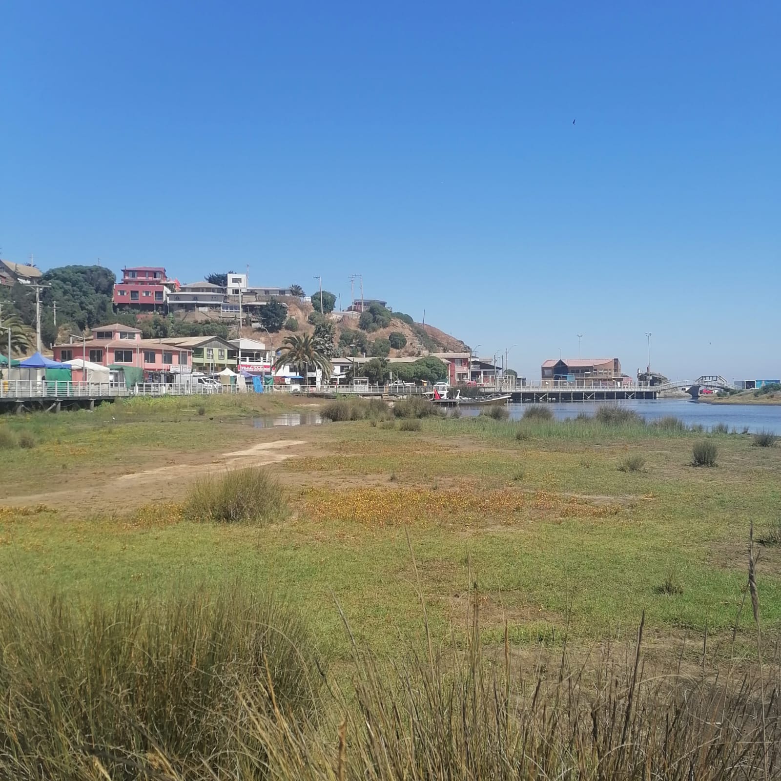 Parcelas en venta en Bosques de Paredones 9