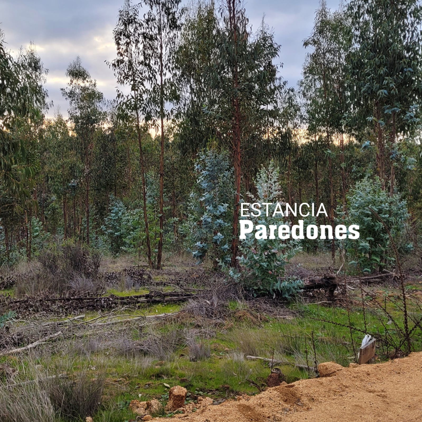 Parcelas en venta en Estancia de Paredones 2