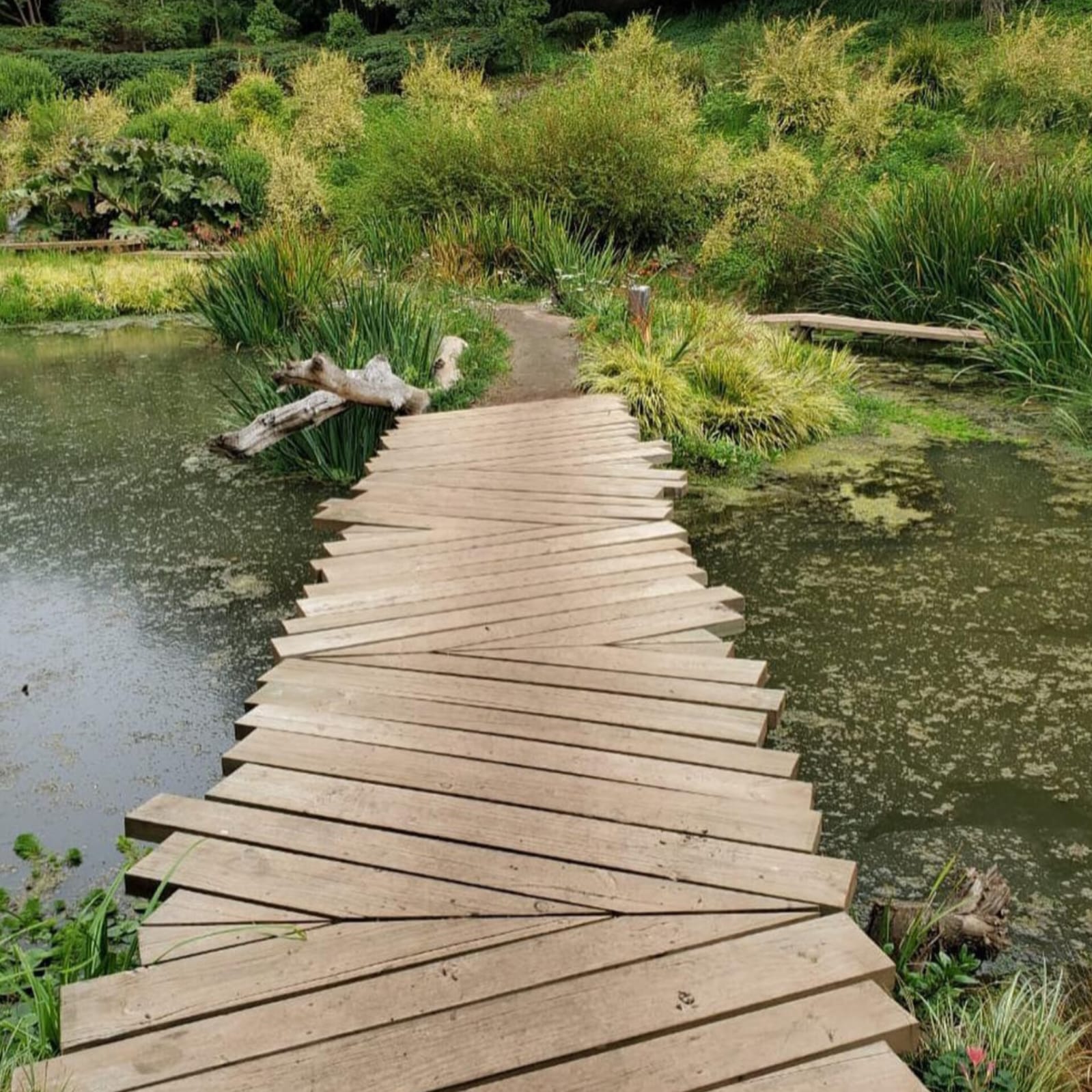 Parcelas en Venta en Santo Domingo 7