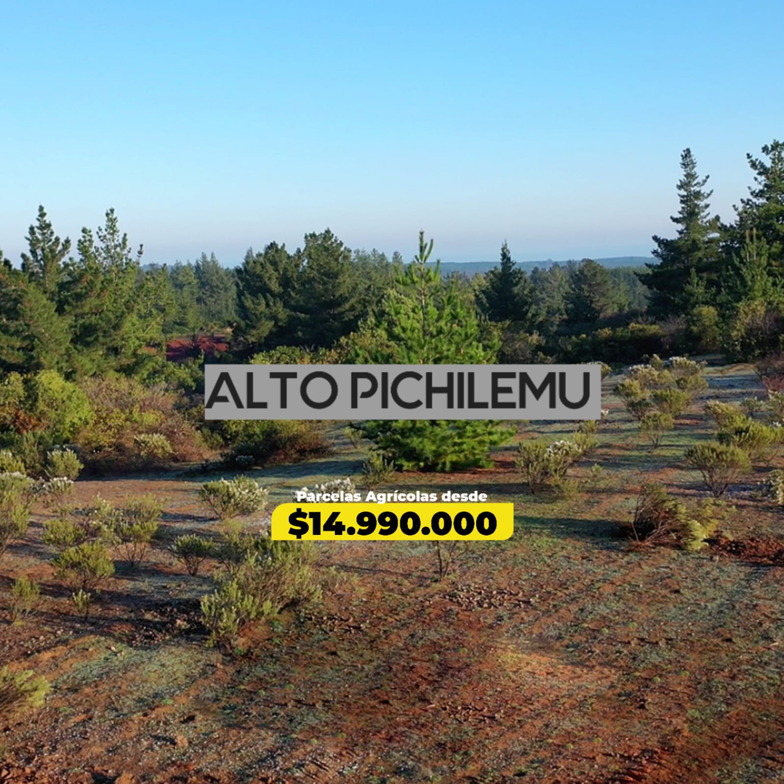 Parcelas en venta en Alto Pichilemu 4