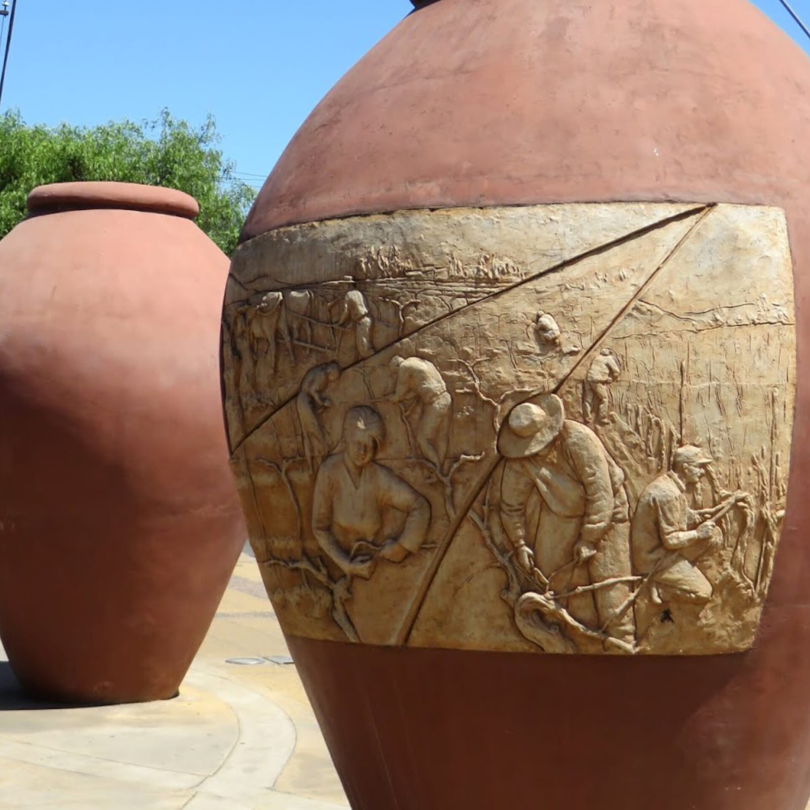 Parcelas en venta en Vive San Javier 8