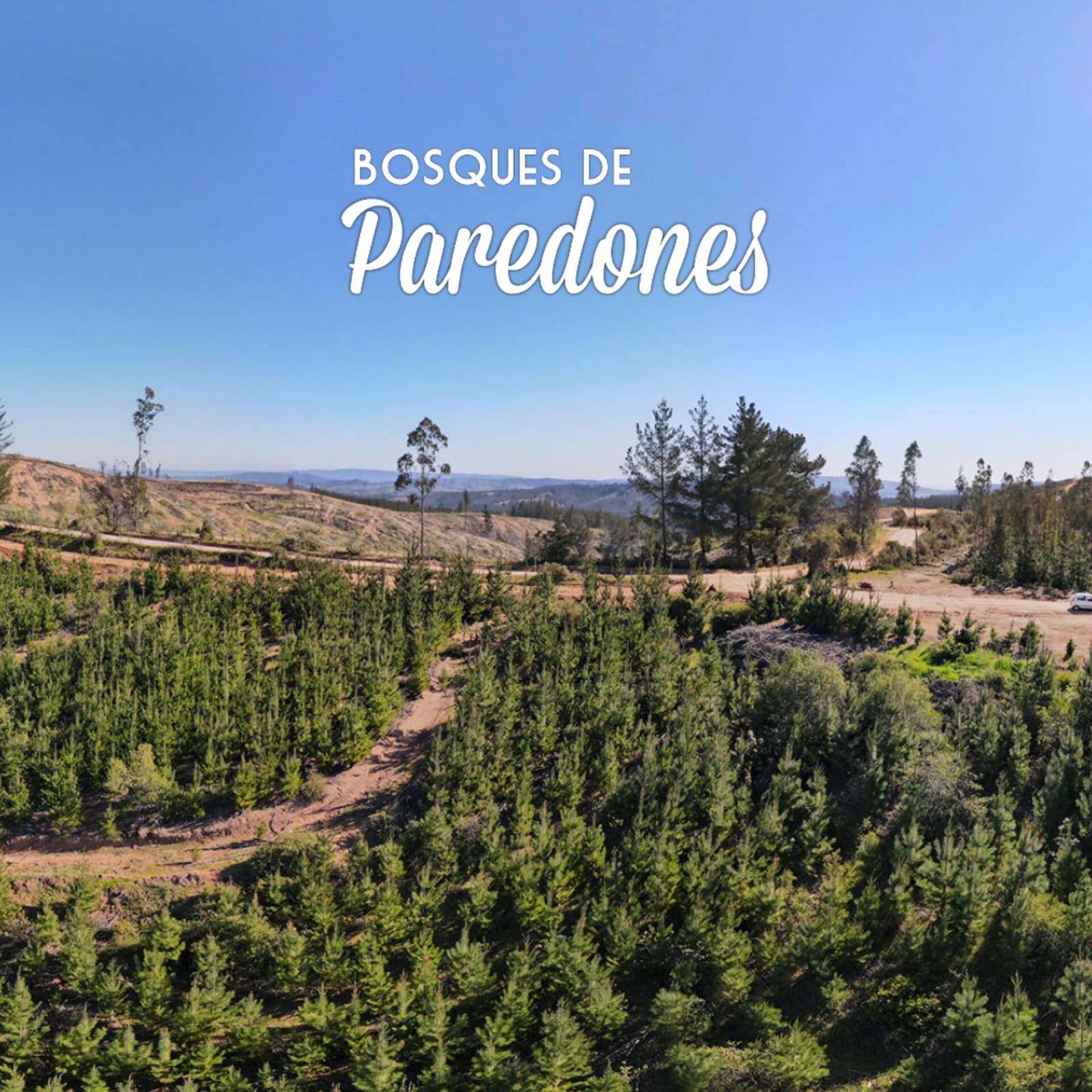 Parcelas en venta en Bosques de Paredones