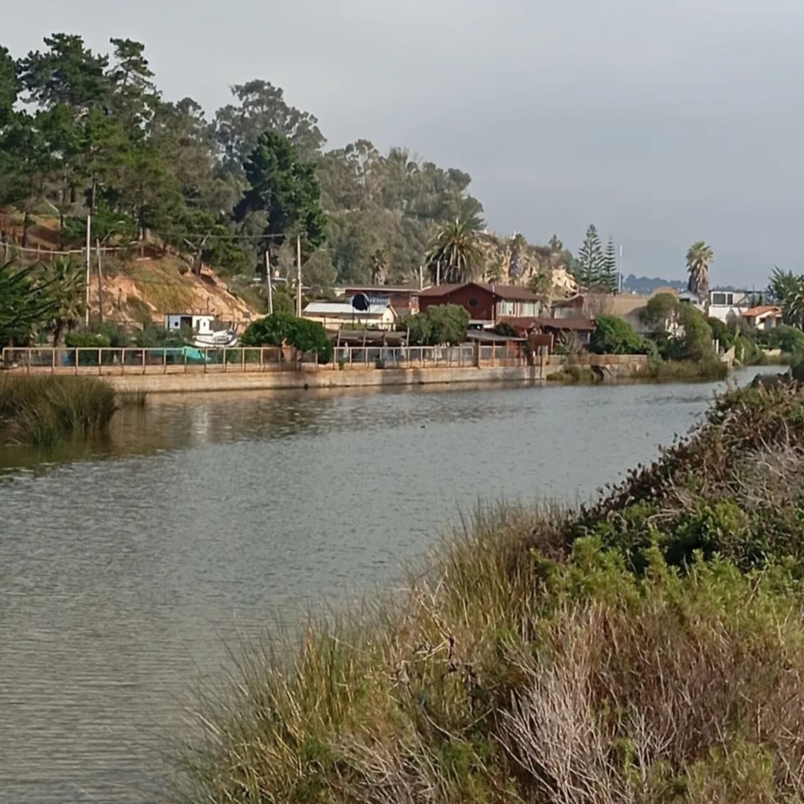 Parcelas en venta en Algarrobo