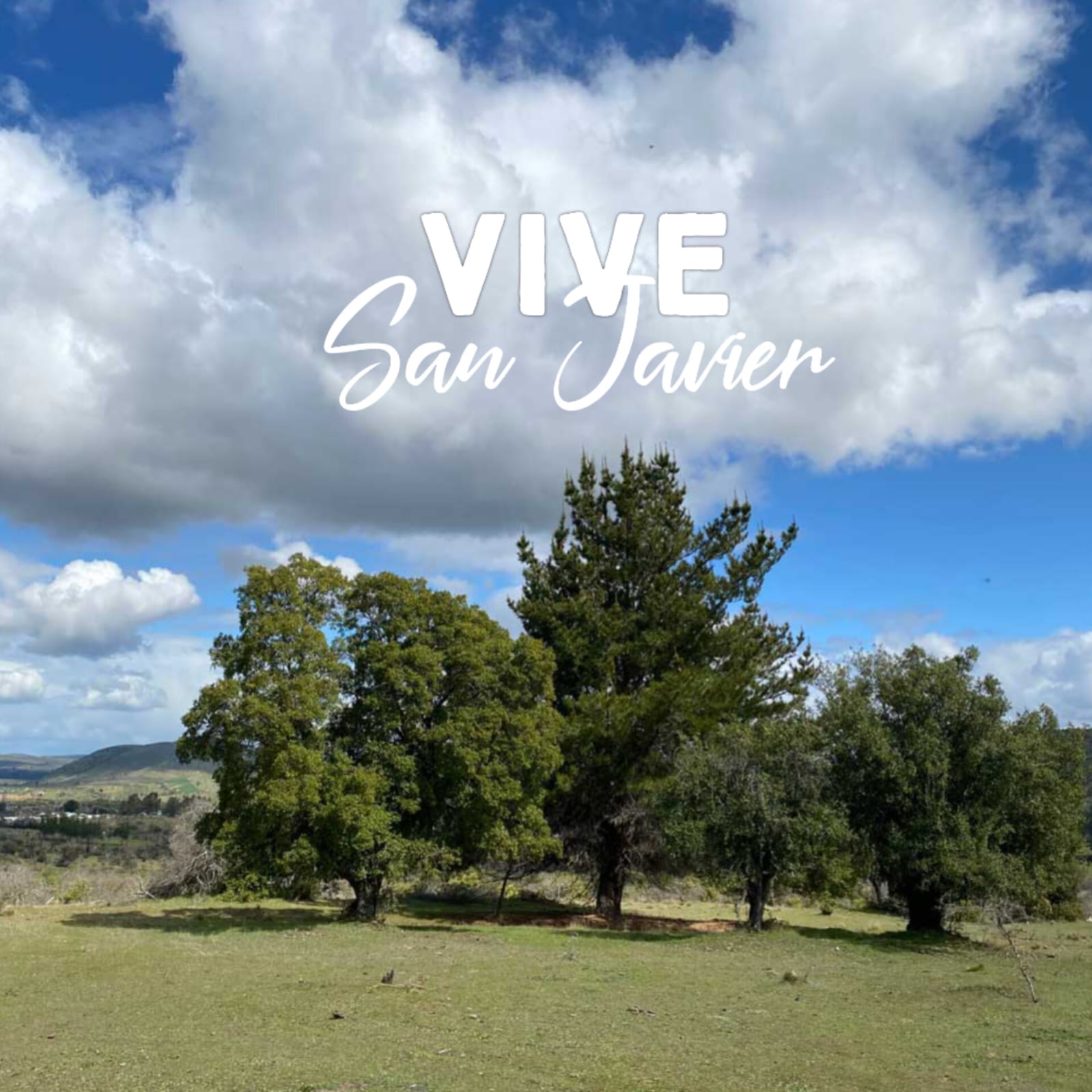 Parcelas en venta en Vive San Javier 2