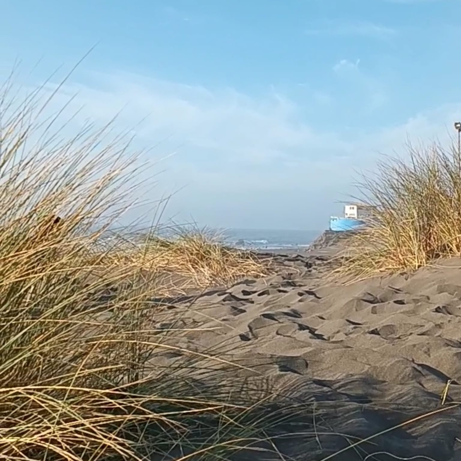 Parcelas en venta en Alto Pichilemu 9