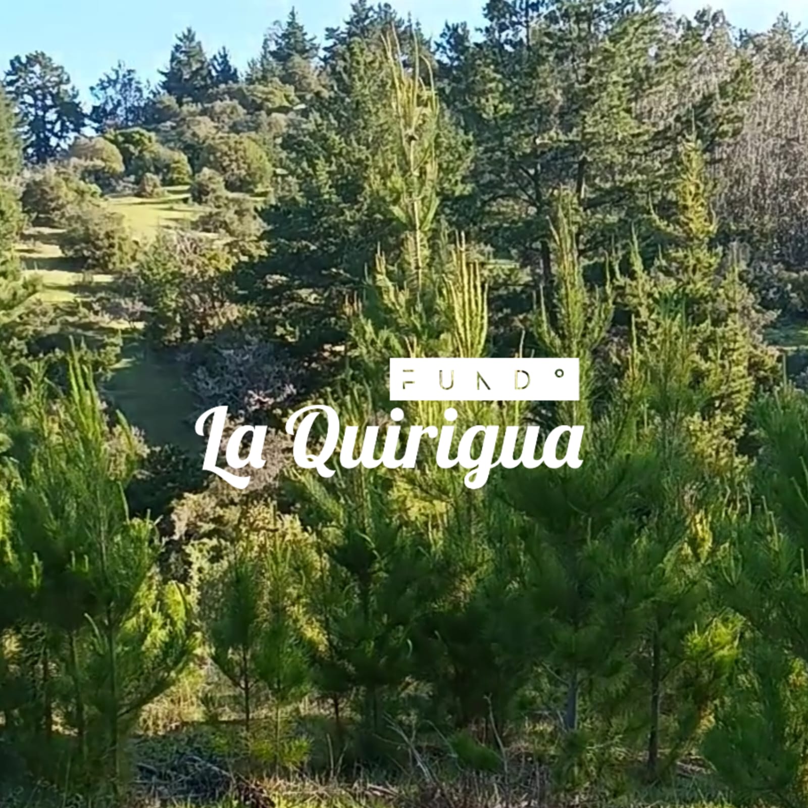 Parcelas en venta Fundo La Quirigua