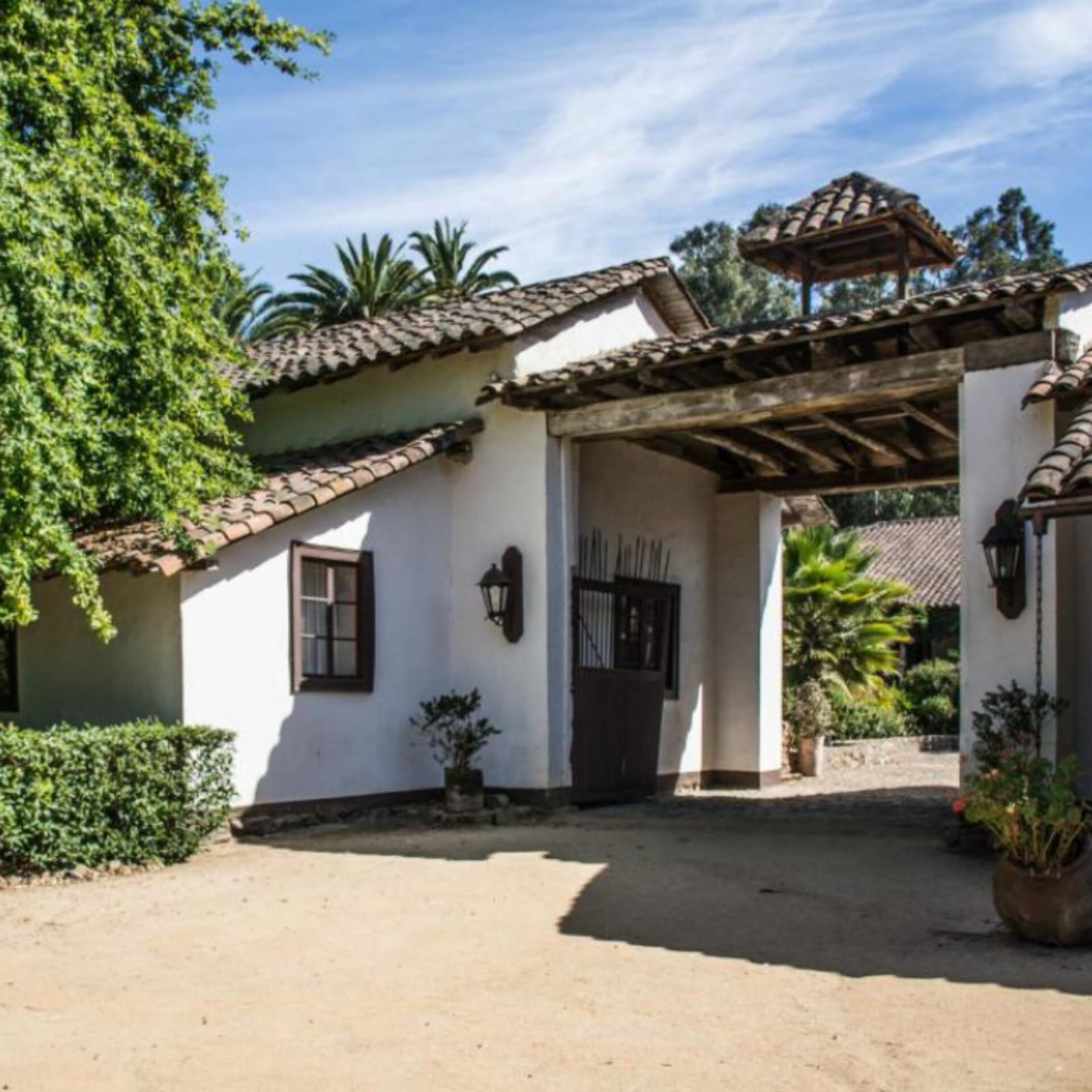 Parcelas en venta en Olivos de Marchigüe