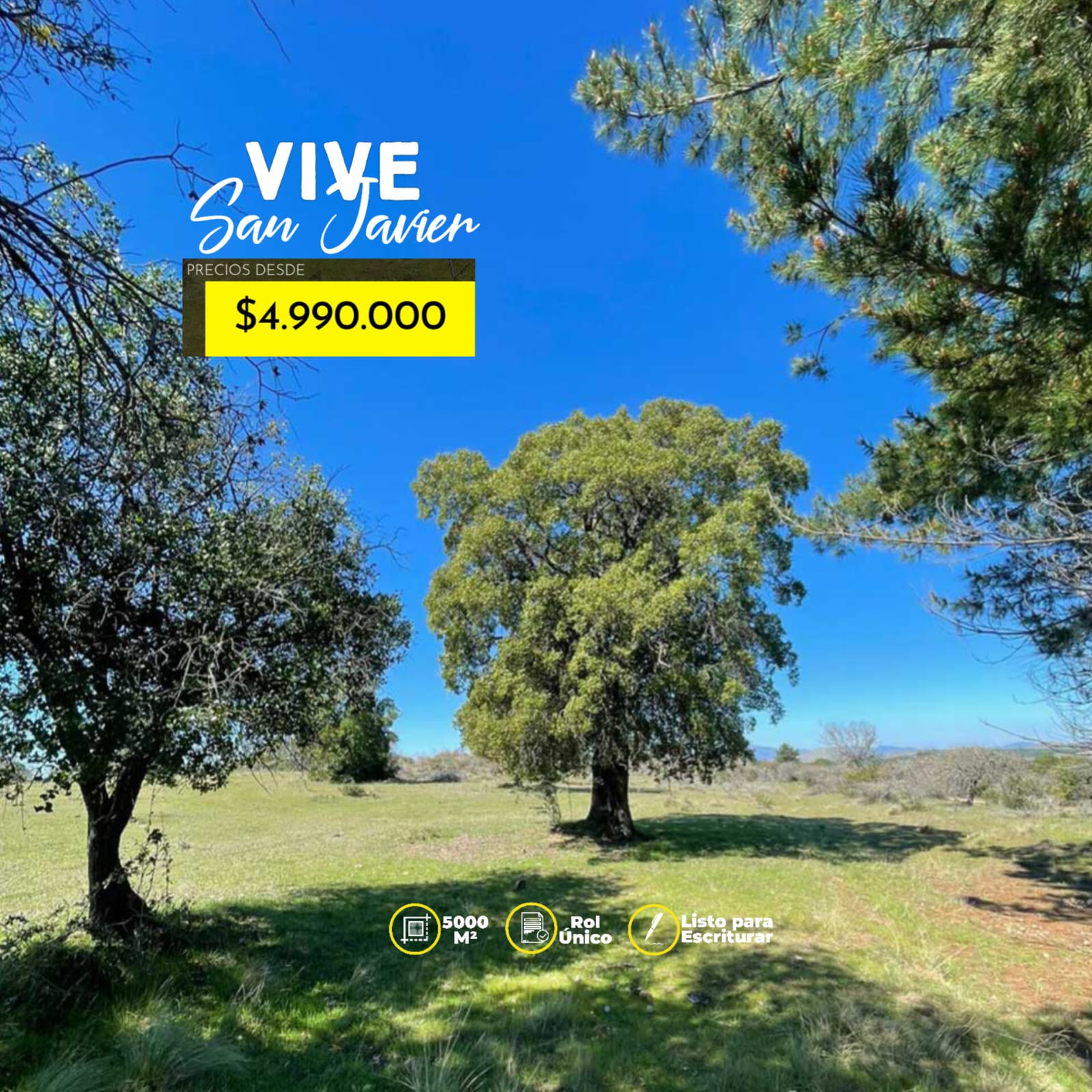 Parcelas en venta en Vive San Javier 3