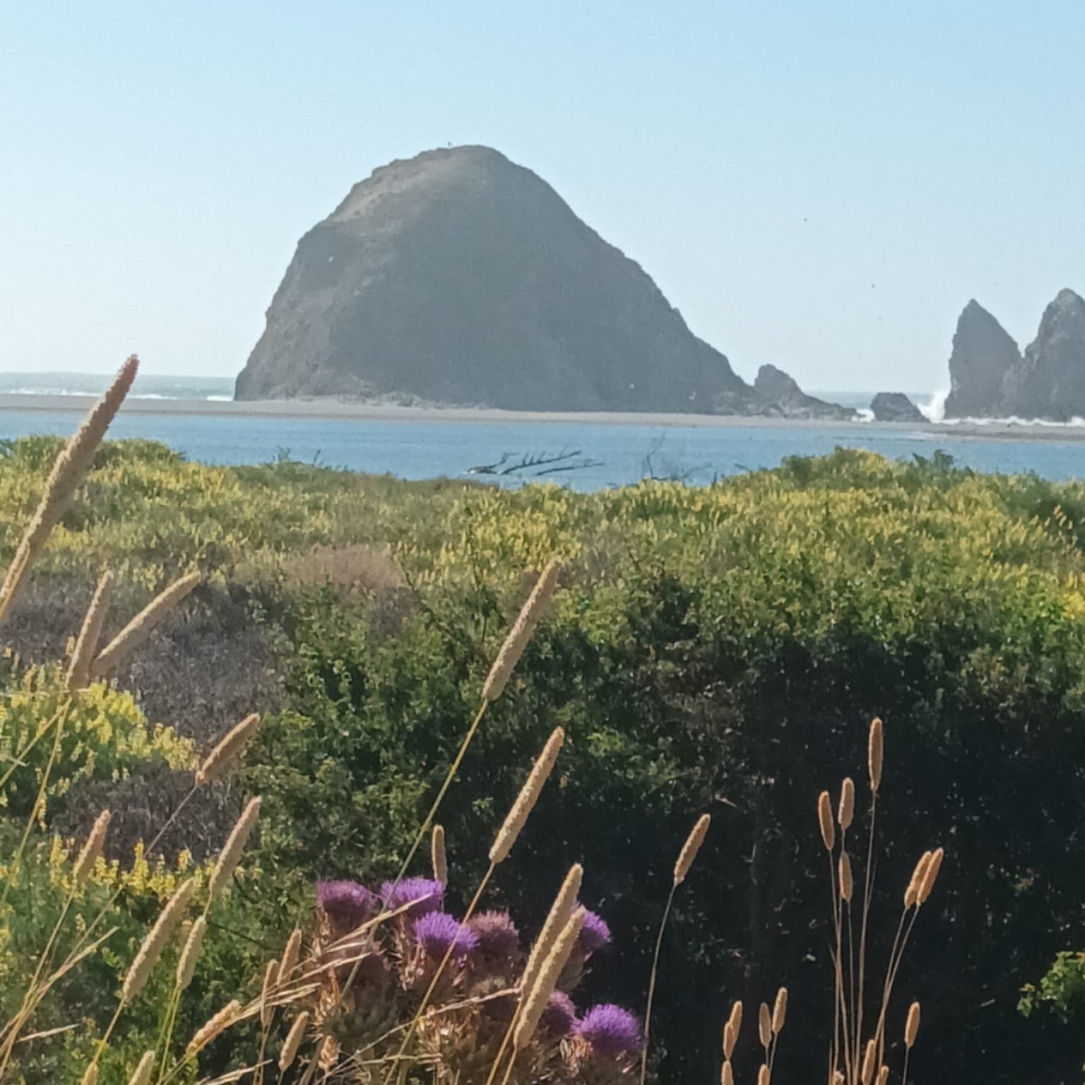 Parcelas en venta en Jardines de Litueche 10