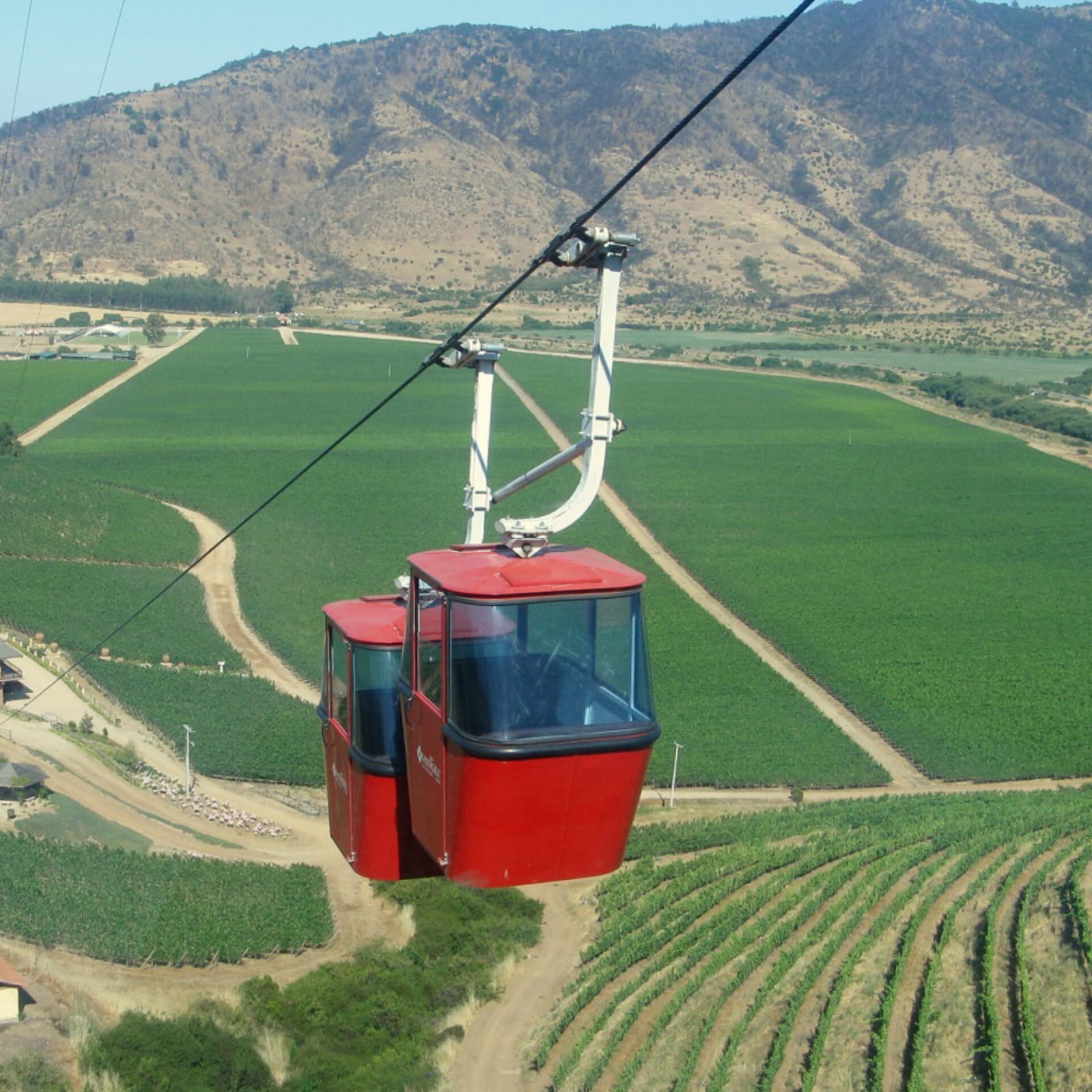 Parcelas en venta en Olivos de Marchigüe