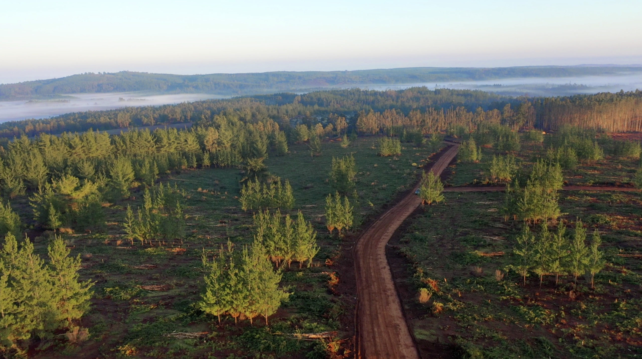 Parcelas en venta en Alto Pichilemu