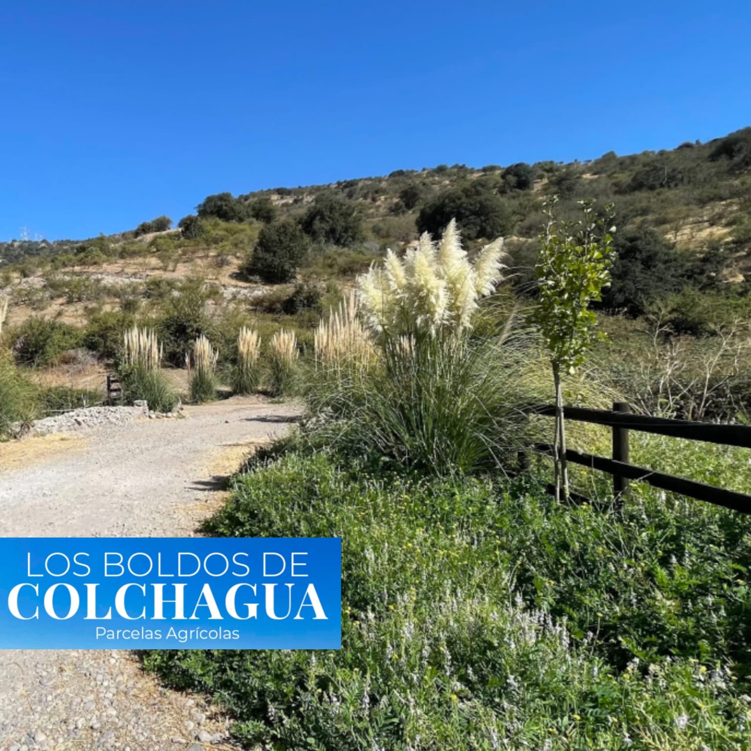 Parcelas en venta en Boldos de Colchagua 5