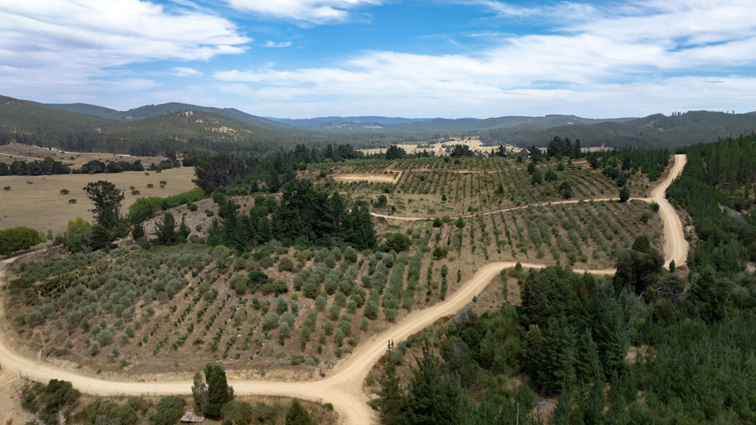 Parcelas en venta Fundo La Quirigua