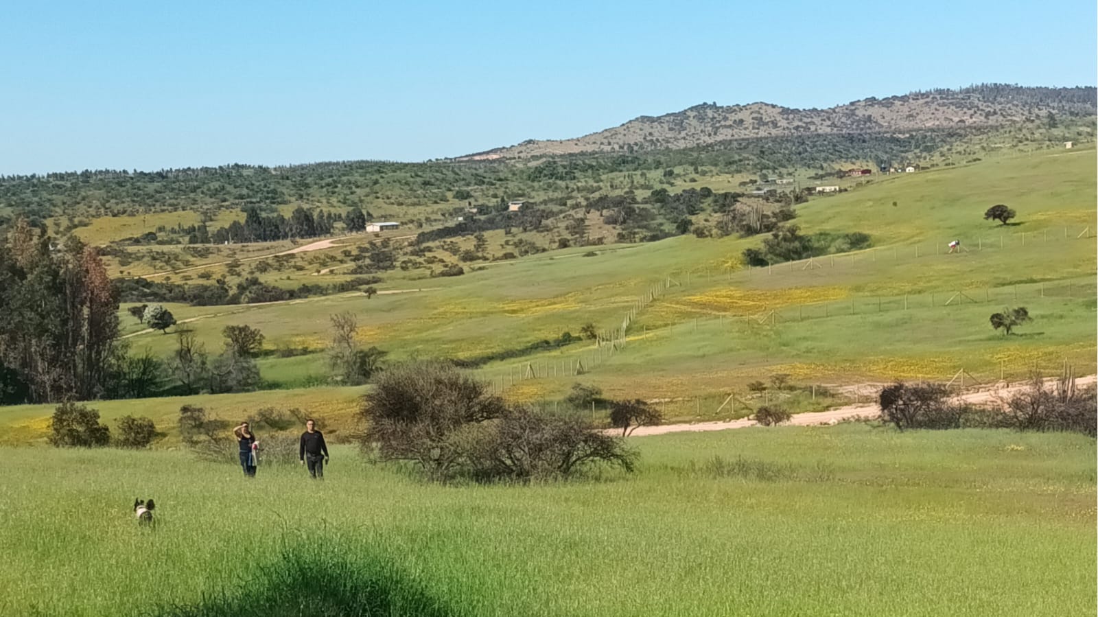 Parcelas en venta en la Estrella Hacienda Don Bastián