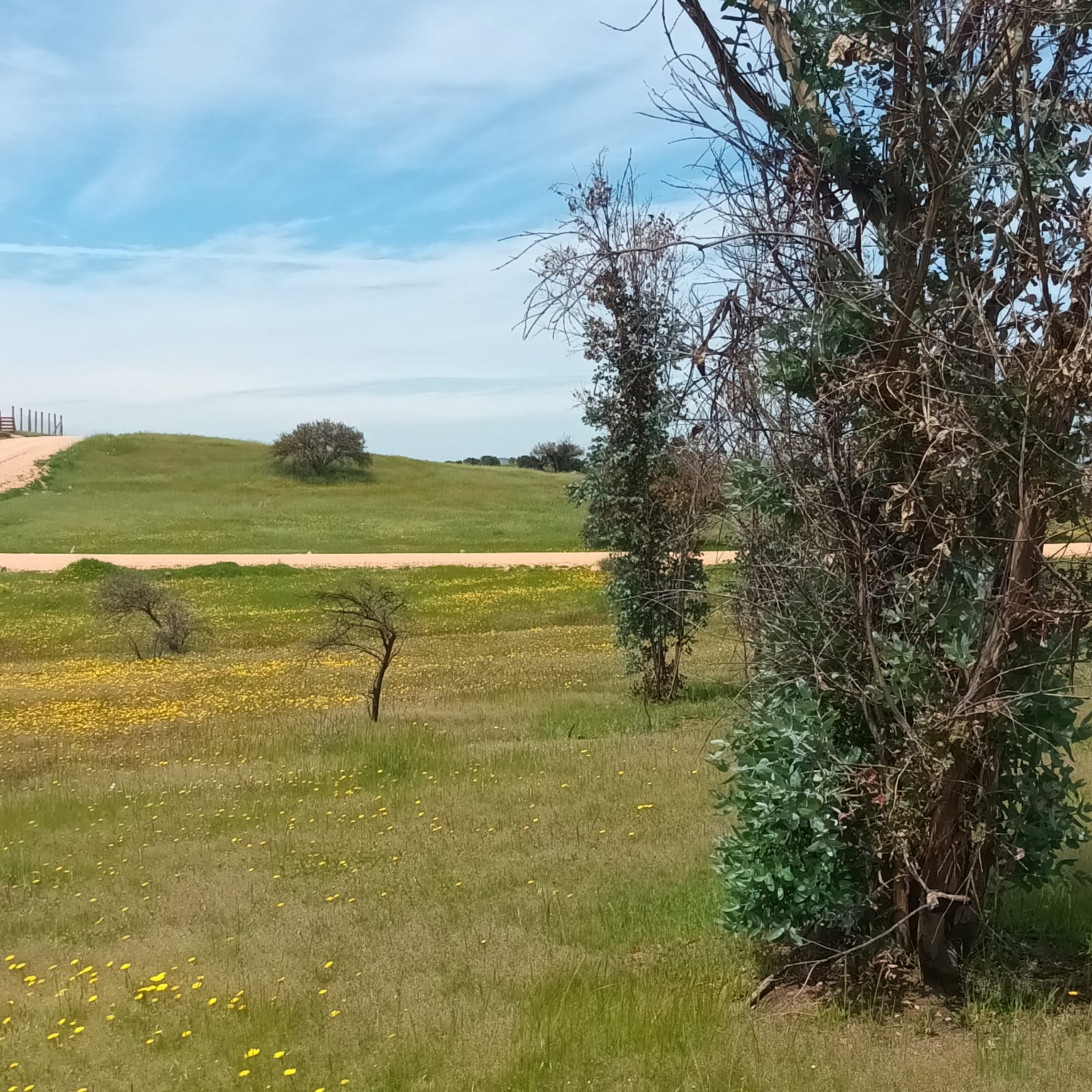 Parcelas en venta en la Estrella Hacienda Don Bastián