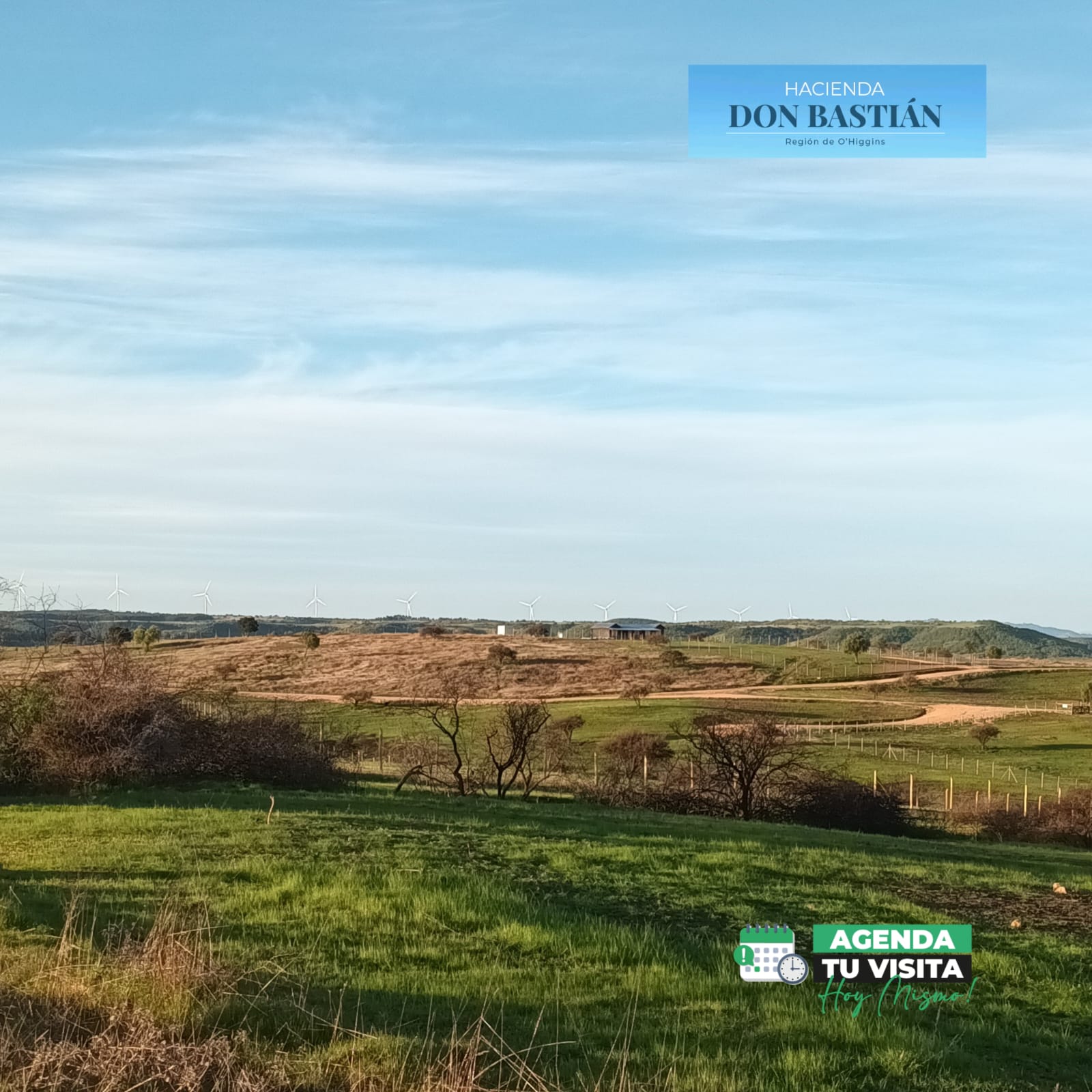 Parcelas en venta en la Estrella Hacienda Don Bastián