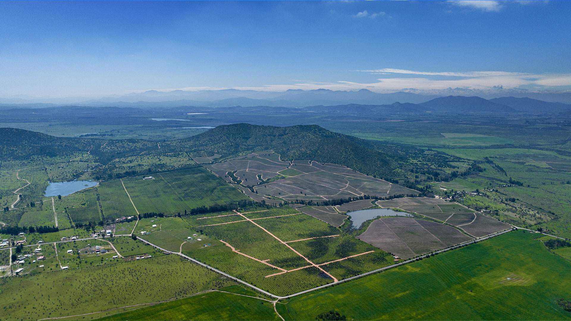 Parcelas en venta en Olivos de Marchigüe