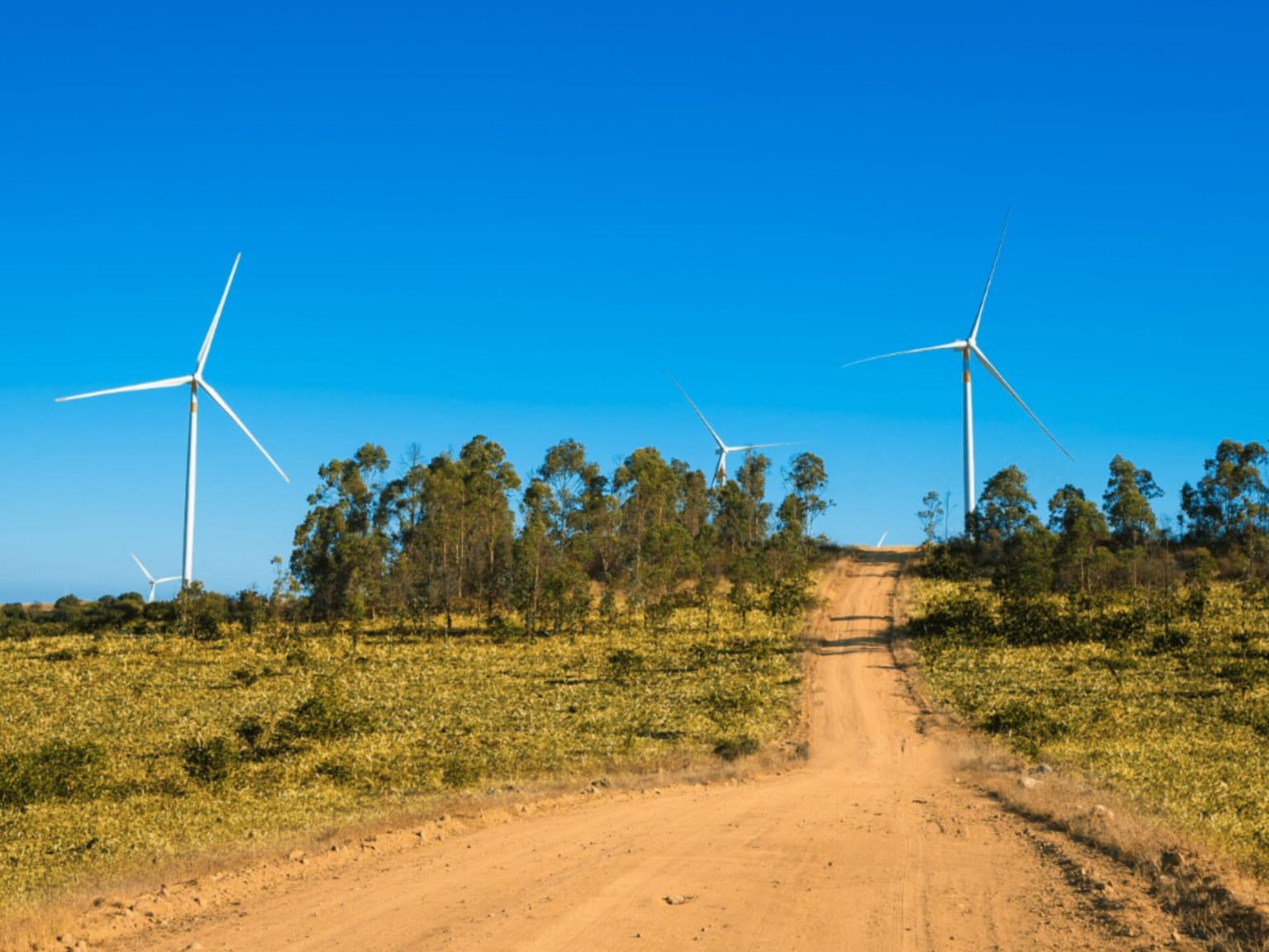 Parcelas en venta en Parques de Litueche