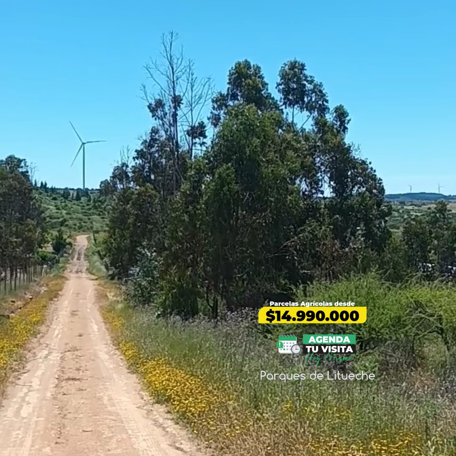 Parcelas en venta en Parques de Litueche 2
