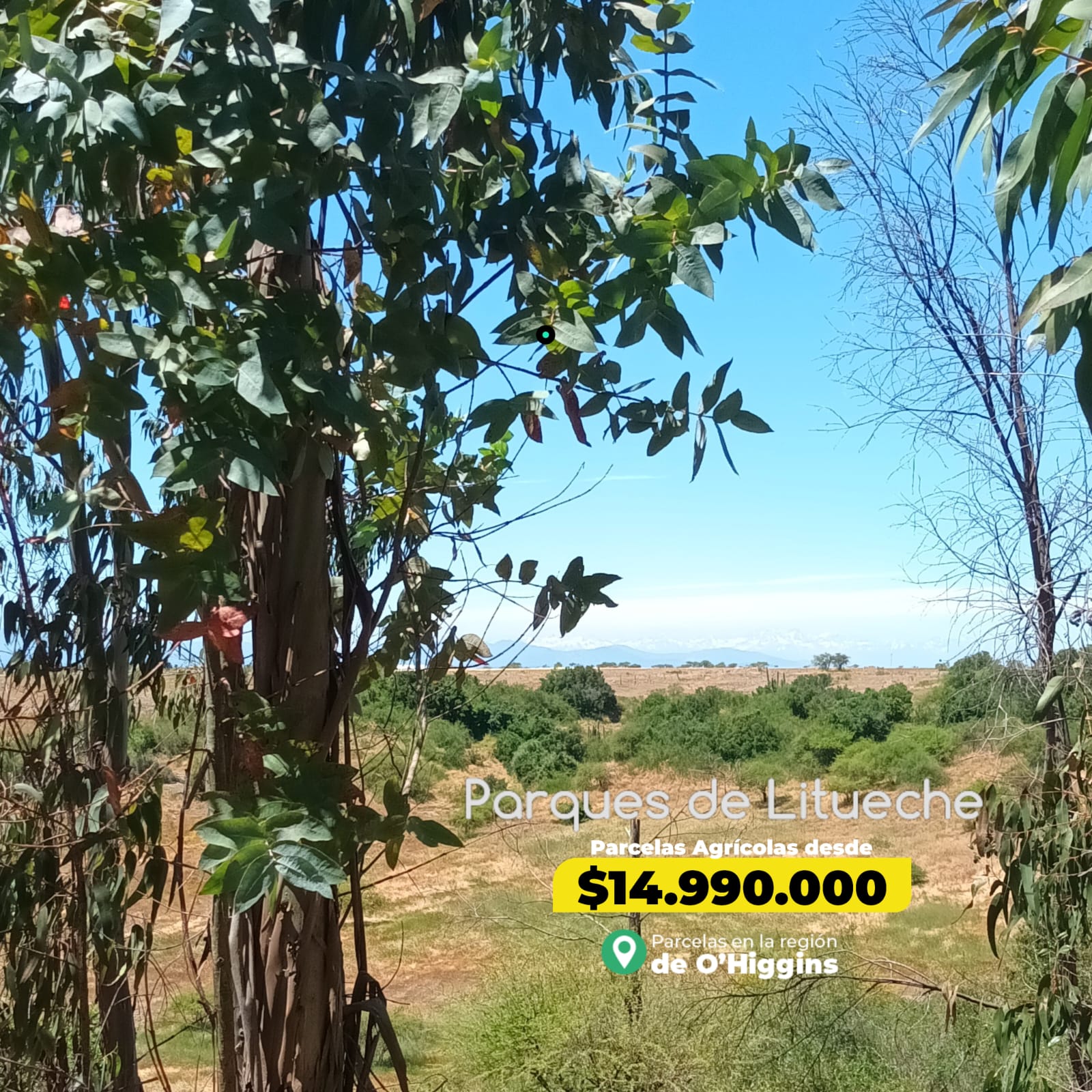 Parcelas en venta en Parques de Litueche 3