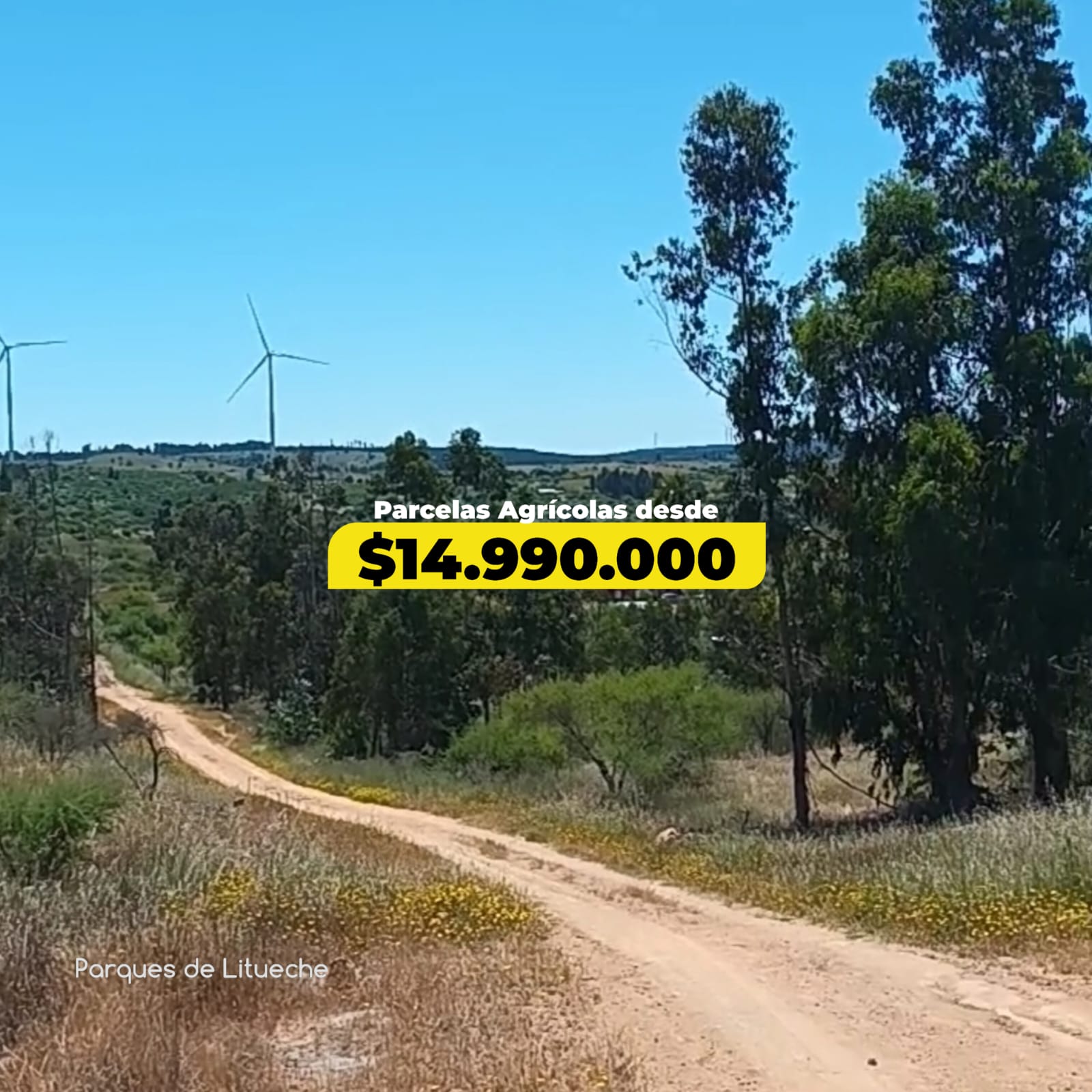 Parcelas en venta en Parques de Litueche 5