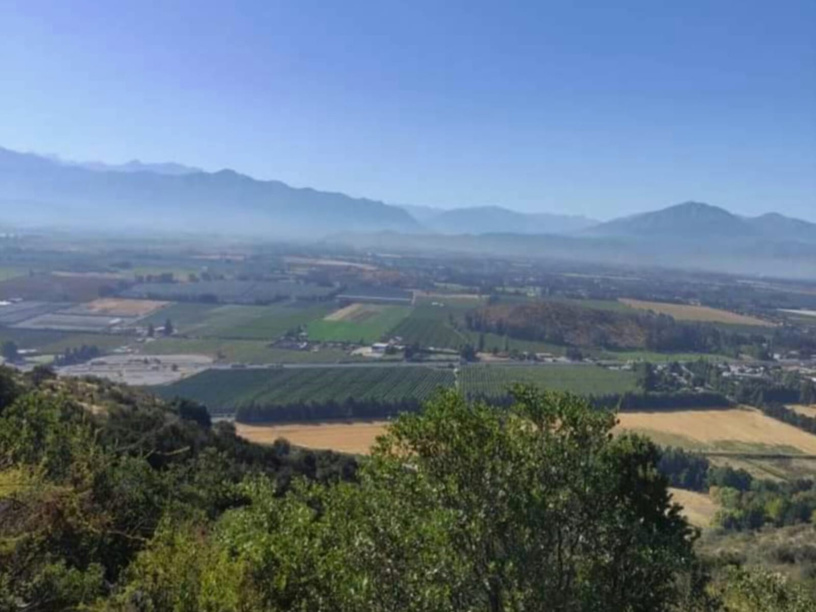 Parcelas en venta en Boldos de Colchagua