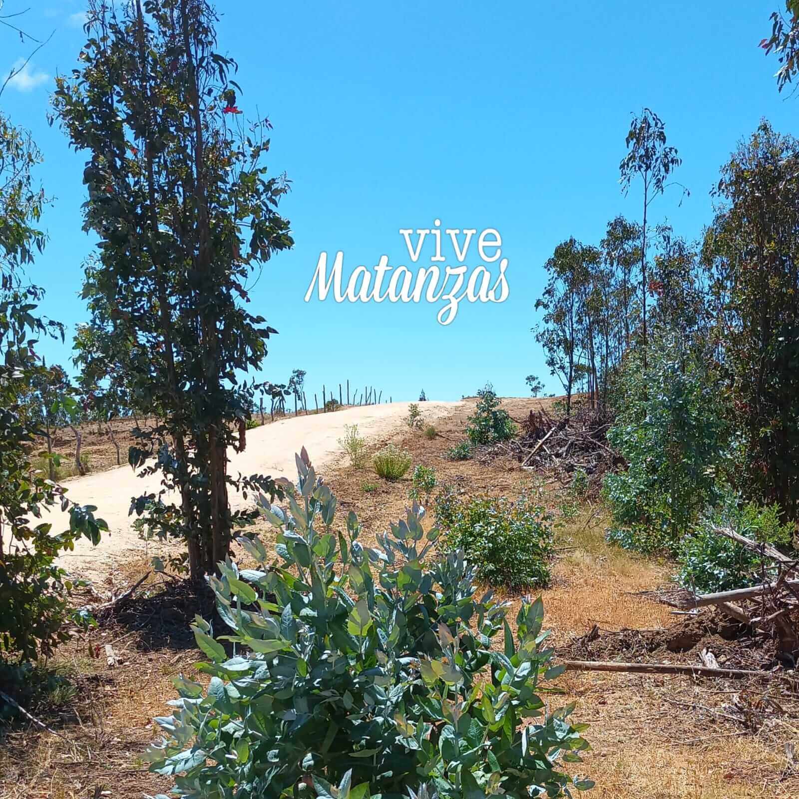 parcelas-cerca-del-mar