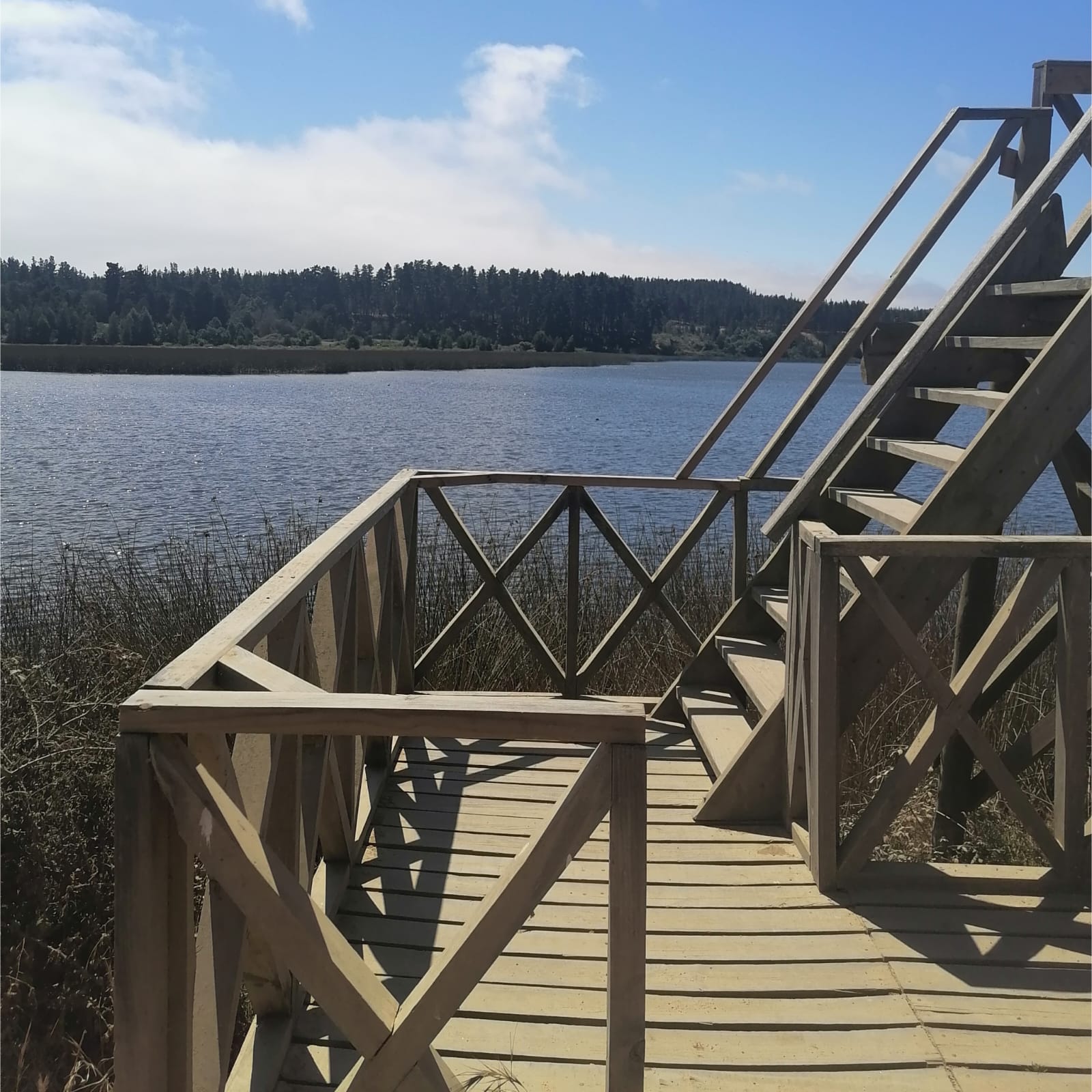 Parcelas en venta Fundo La Quirigua 12