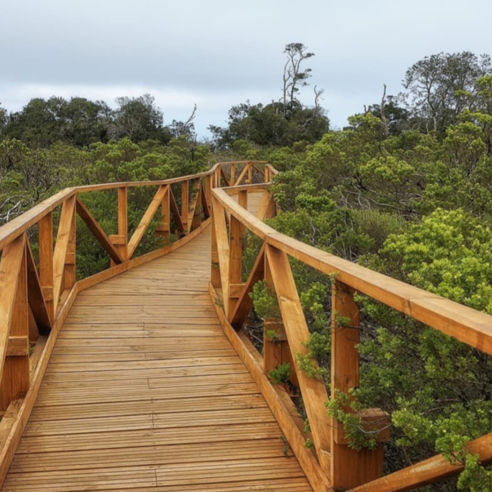 Parcelas en venta en Ovalle 7