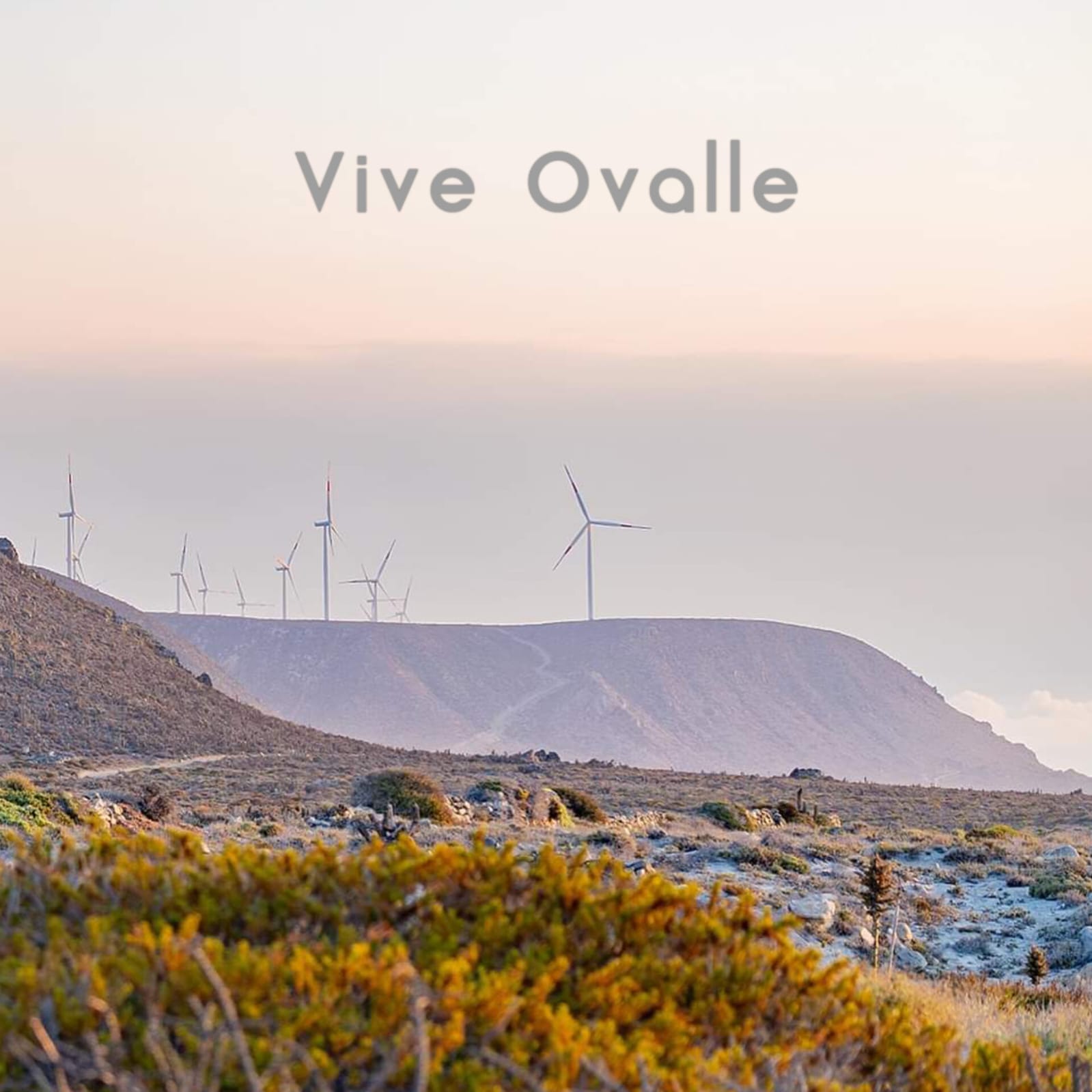 Parcelas en venta en Ovalle 1