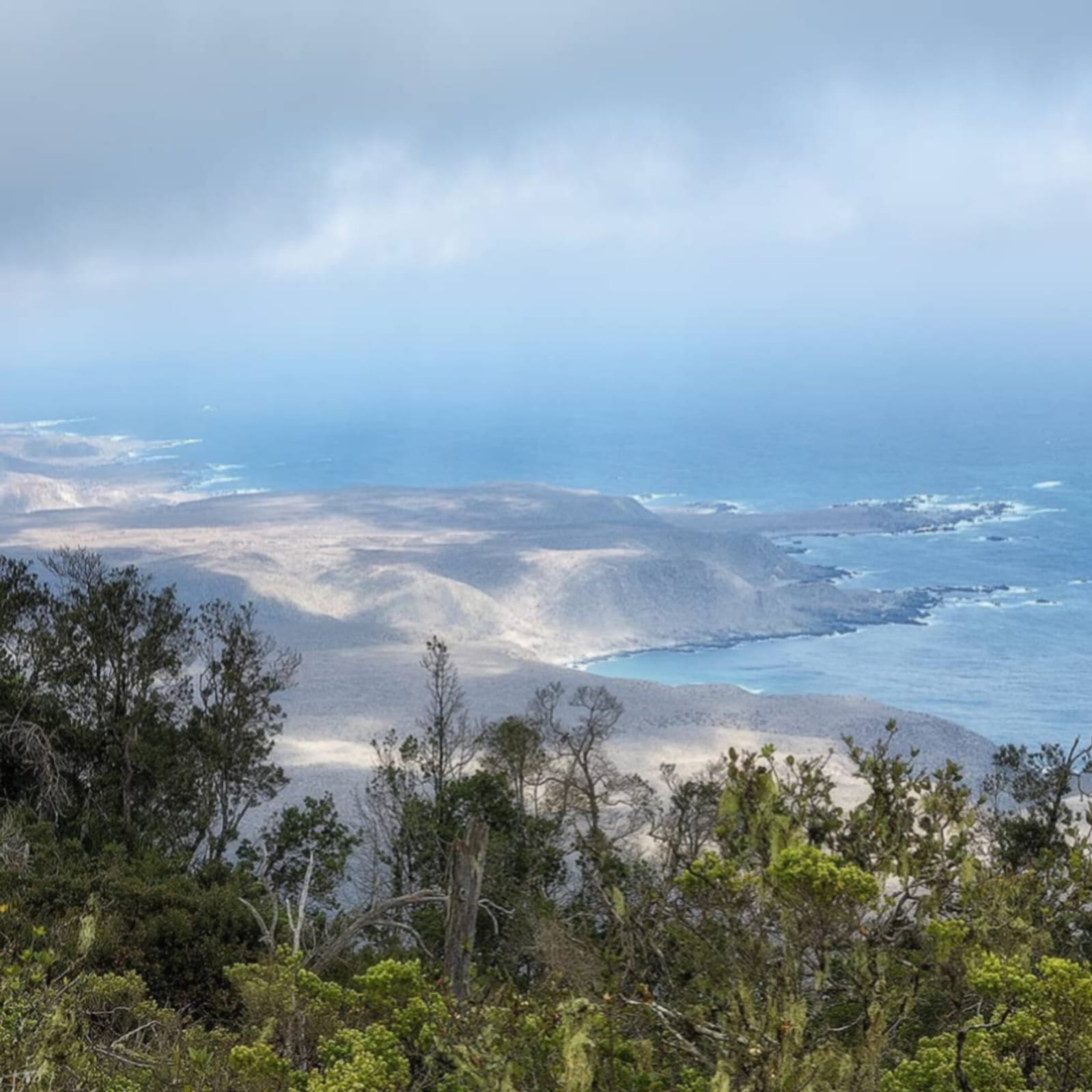 Parcelas en venta en Ovalle 8