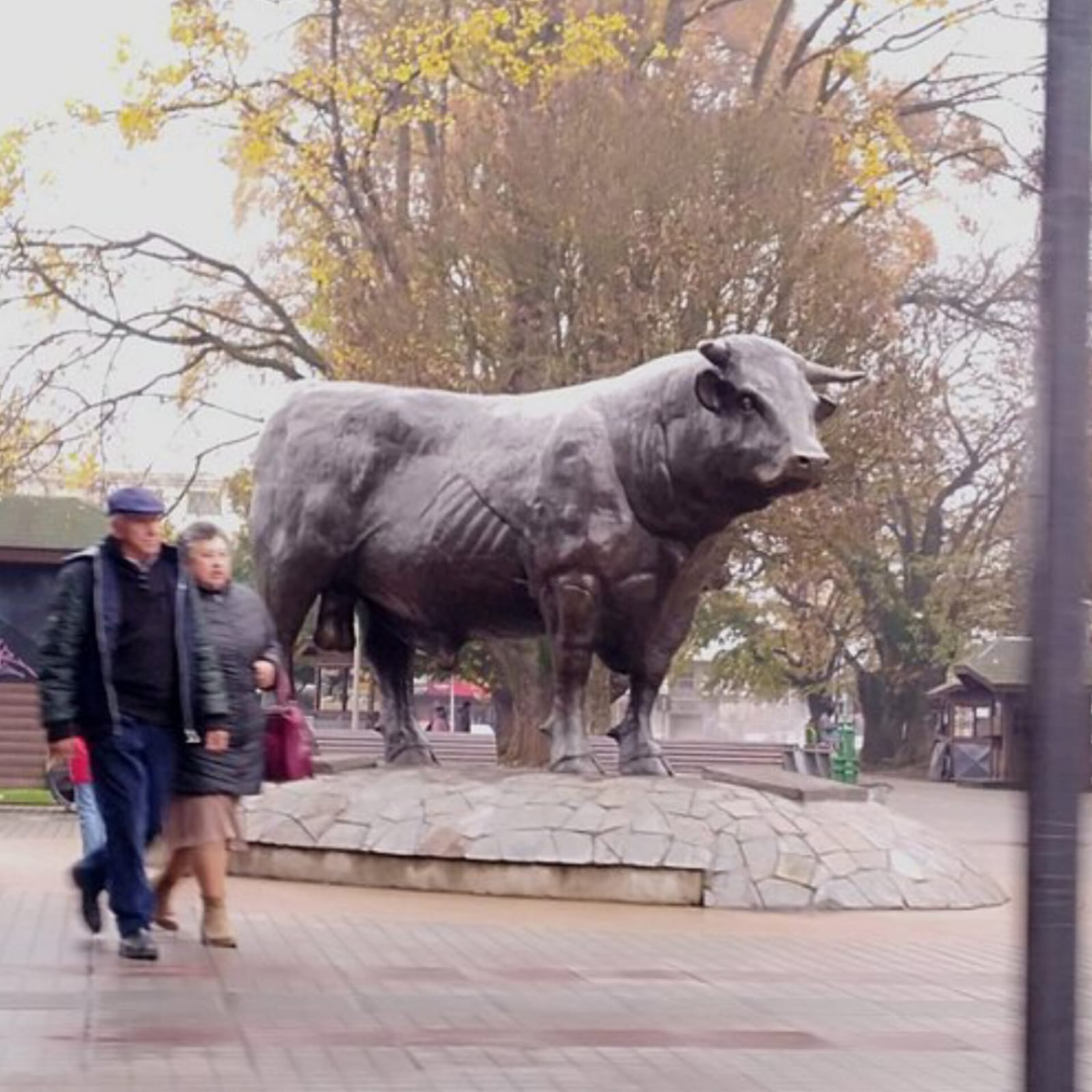 Parcelas en venta Vive Rupanco 6