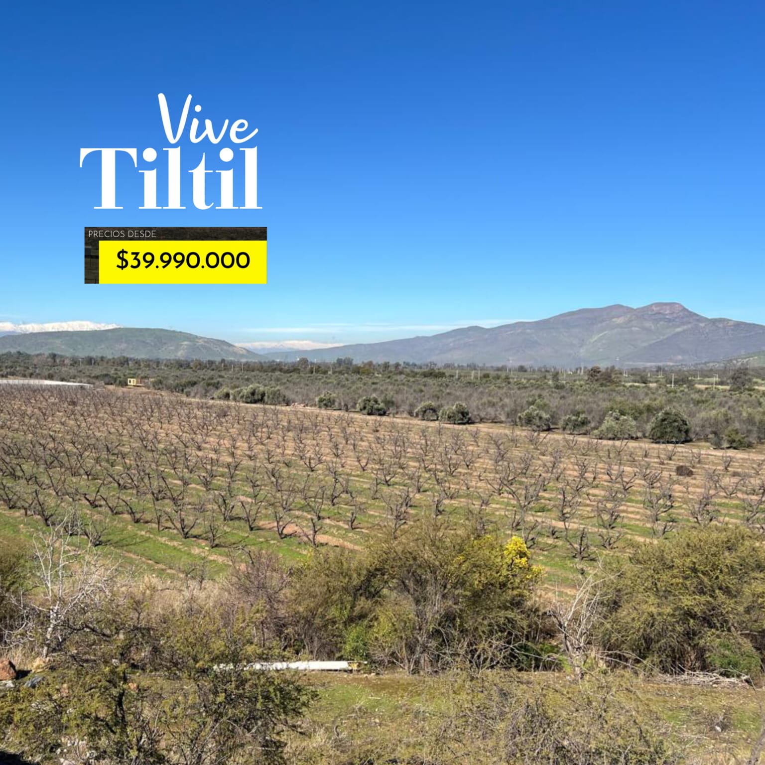 Parcelas en venta en Til Til