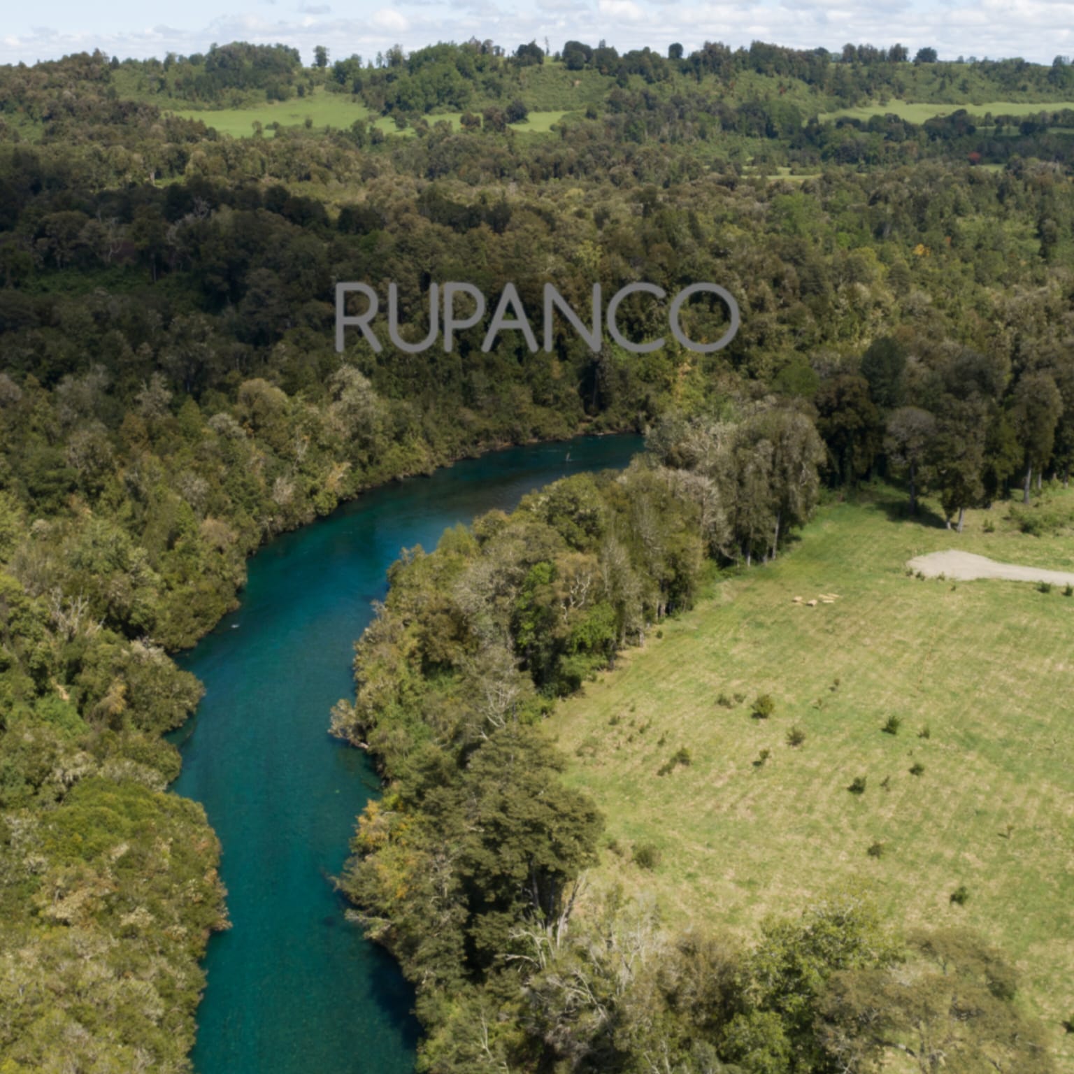 Parcelas en venta Vive Rupanco 3