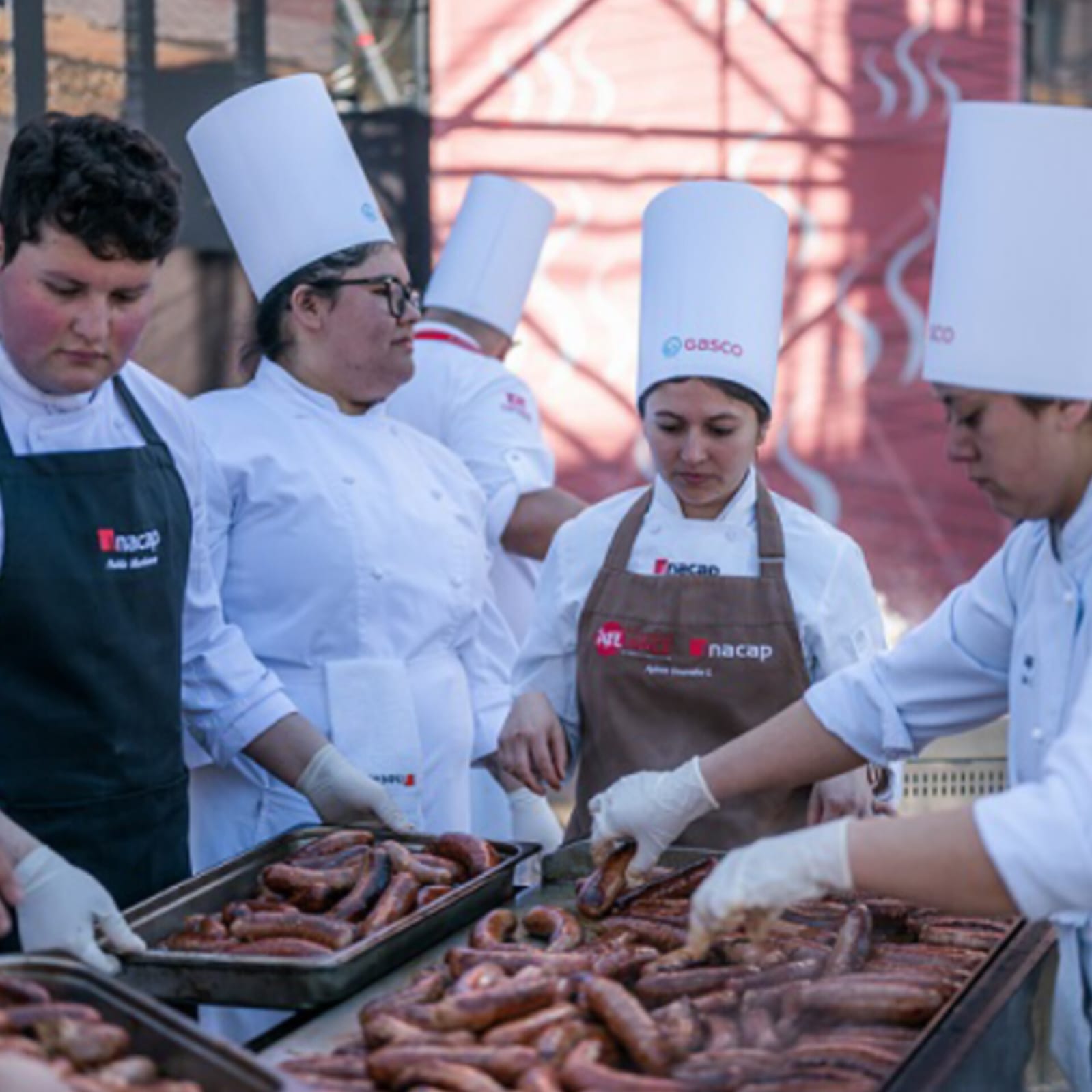 Parcelas en venta en Vive Chillan 8