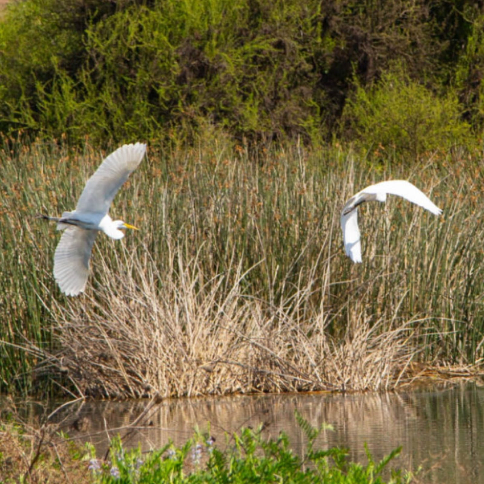 Parcelas en venta en Til Til 6