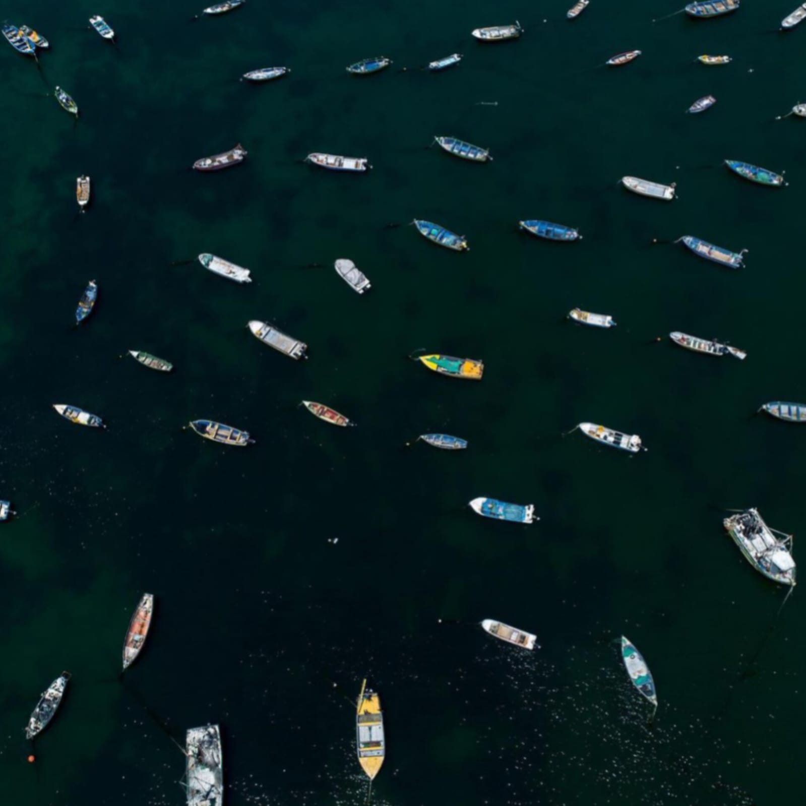 Parcelas en venta en Ovalle 9