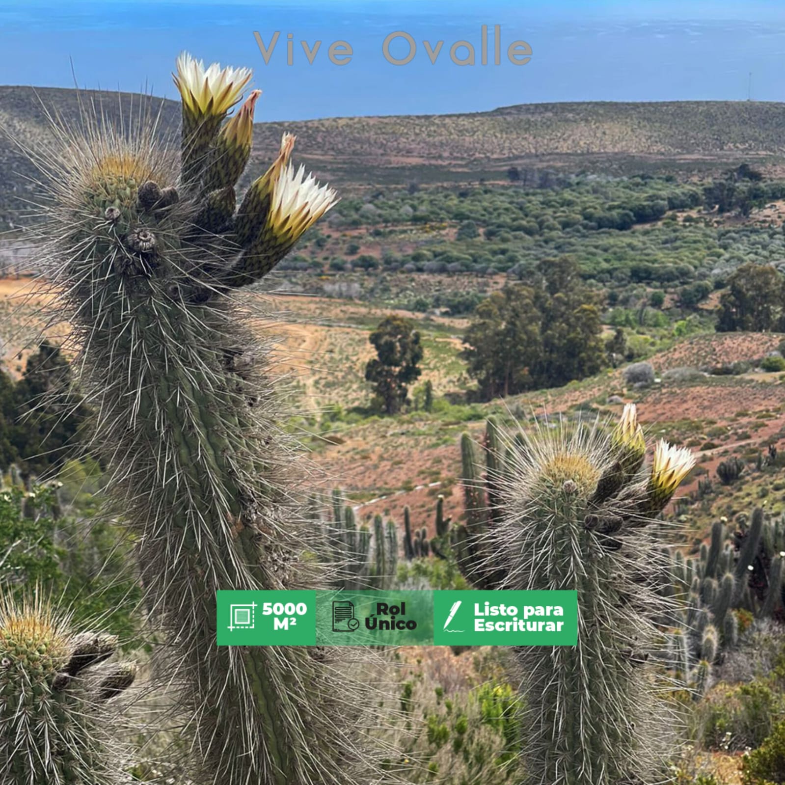 Parcelas en venta en Ovalle 4