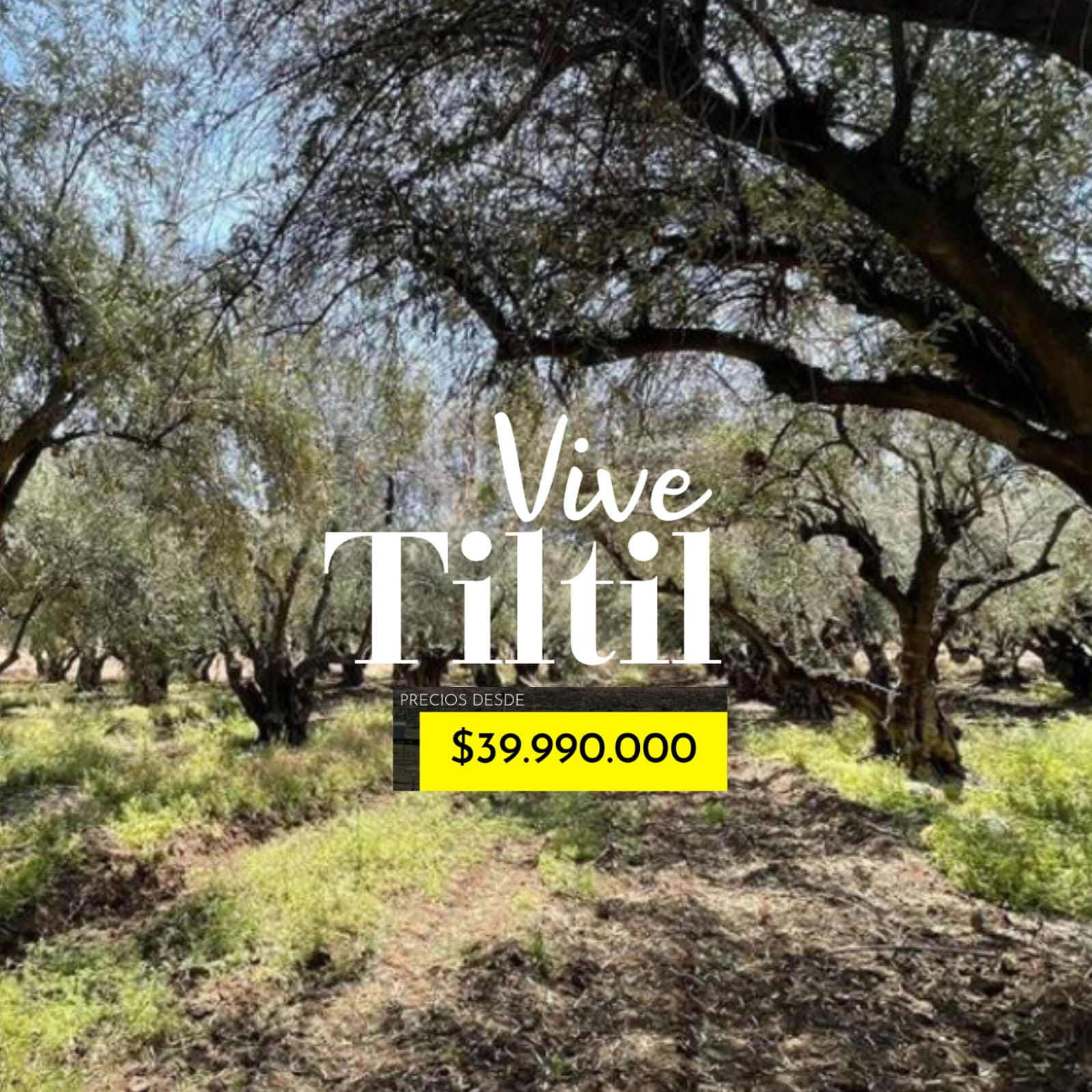 Parcelas en venta en Til Til